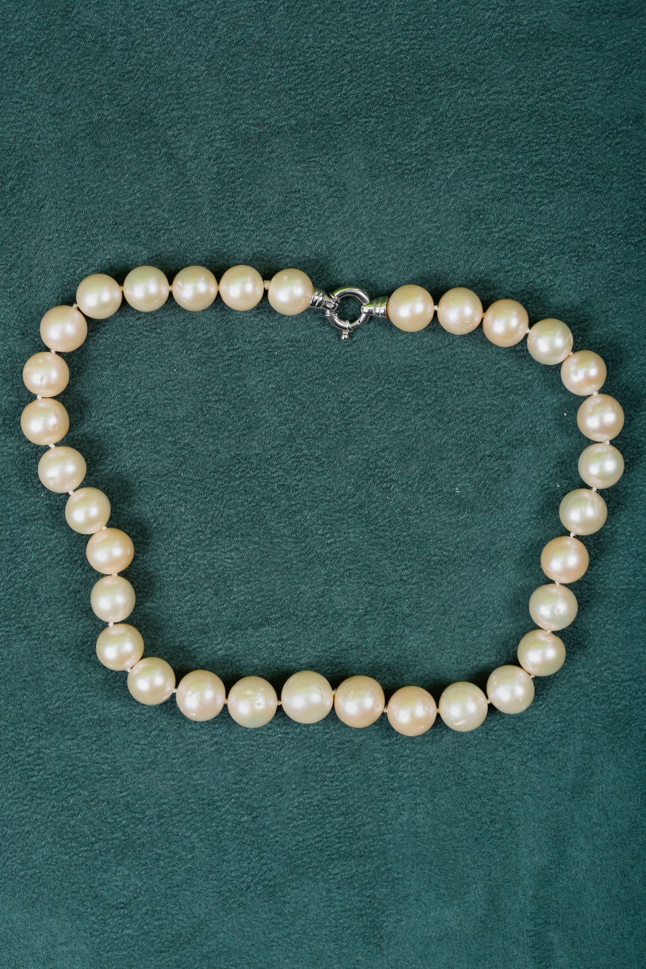 Null Collier ras de cou en perles de culture  Composé de 32 perles, fermoir en o&hellip;