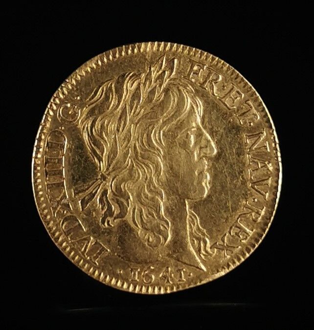 Null Louis XIII aux 8L en or. 
Mèche longue, tranche lisse.
1641 A