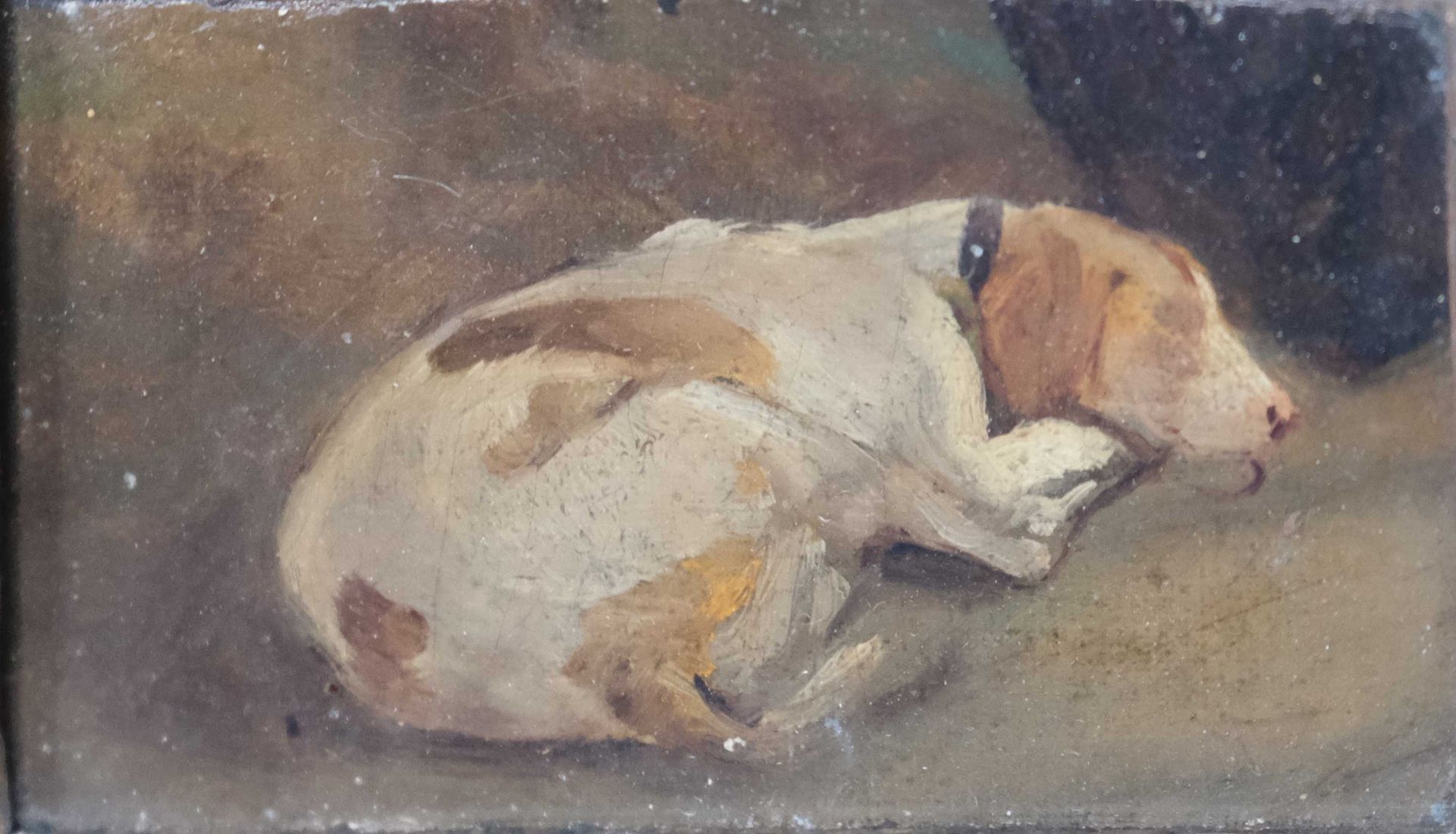 Null Attributed to Paul Victor MATHEY (1844 - 1929) "Dog coiled" oil on canvas p&hellip;