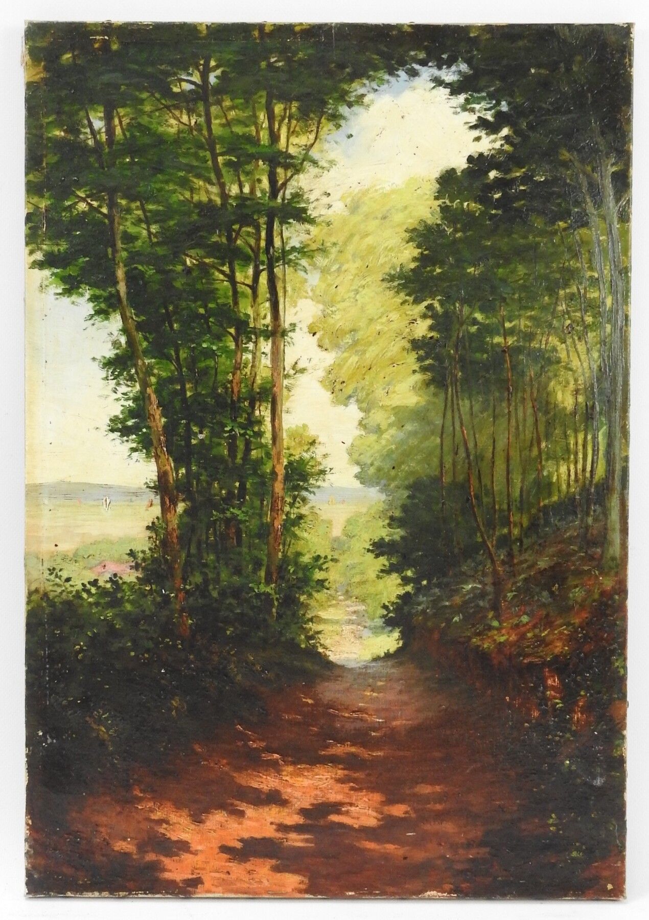 Null School of the XIXth century. The undergrowth. Oil on canvas. 55 x 38 cm.