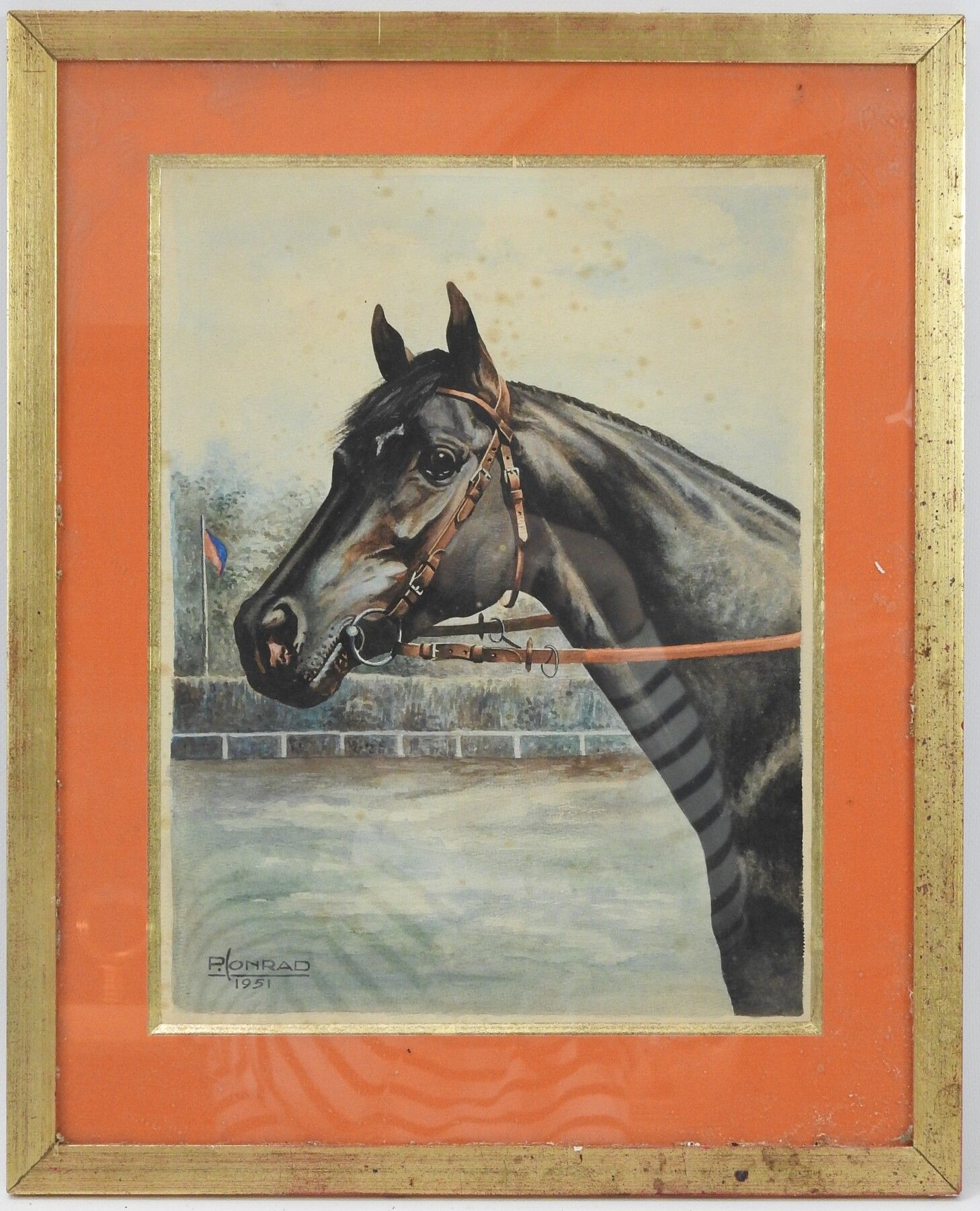 Null 皮埃尔-康拉德（第十届）。一匹马的头。水彩画。左下角有签名，日期为1951年。 34 x 26 cm。
