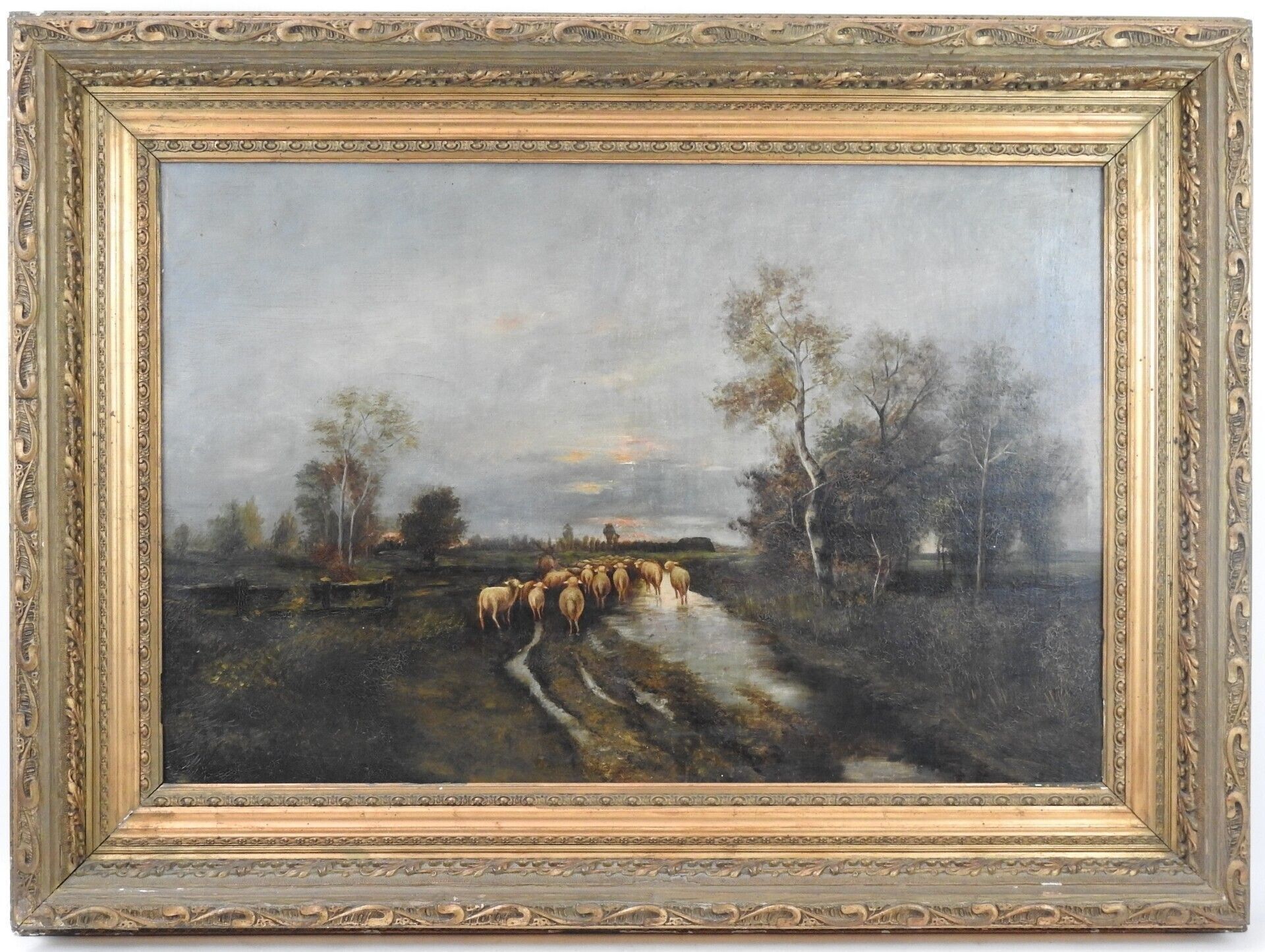 Null Scuola di BARBIZON: Branco di pecore. Olio su tela. 54 x 81 cm.