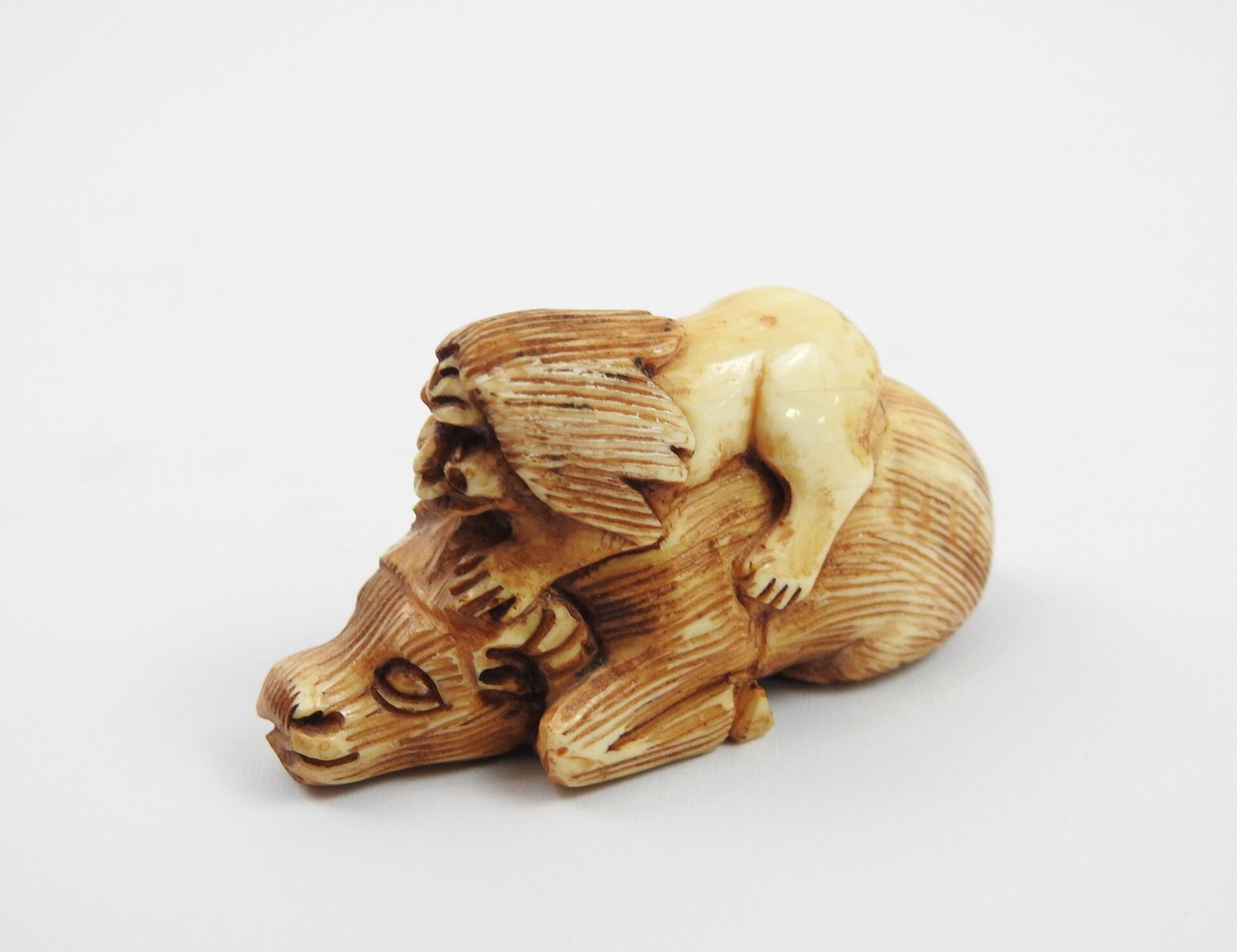 Null JAPON fin XIX début XXème. : Netsuké en ivoire sculpté représentant un lion&hellip;
