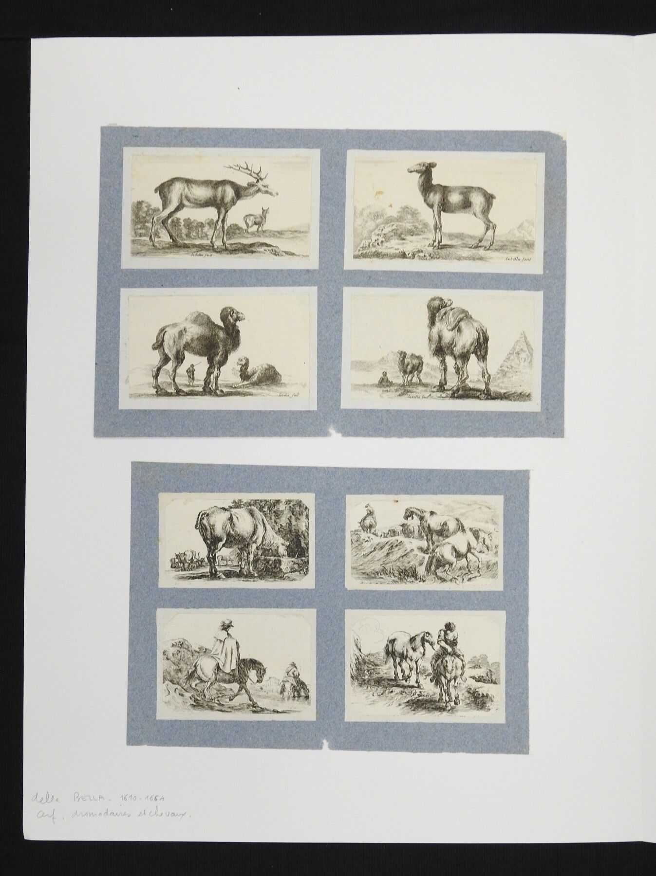 Null Stefano DELLA BELLA (1610 - 1664) : 单峰骆驼和马匹。一套8幅蚀刻版画，采用虚线格式。17世纪。7,5 x 12,5&hellip;