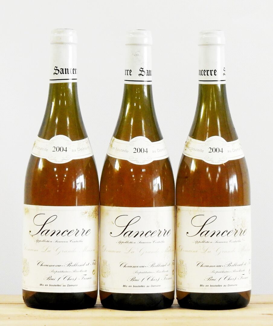 Null 3 bottles

Sancerre - Domaine La Grande Maison de chez Chaumeau Ballard - 2&hellip;
