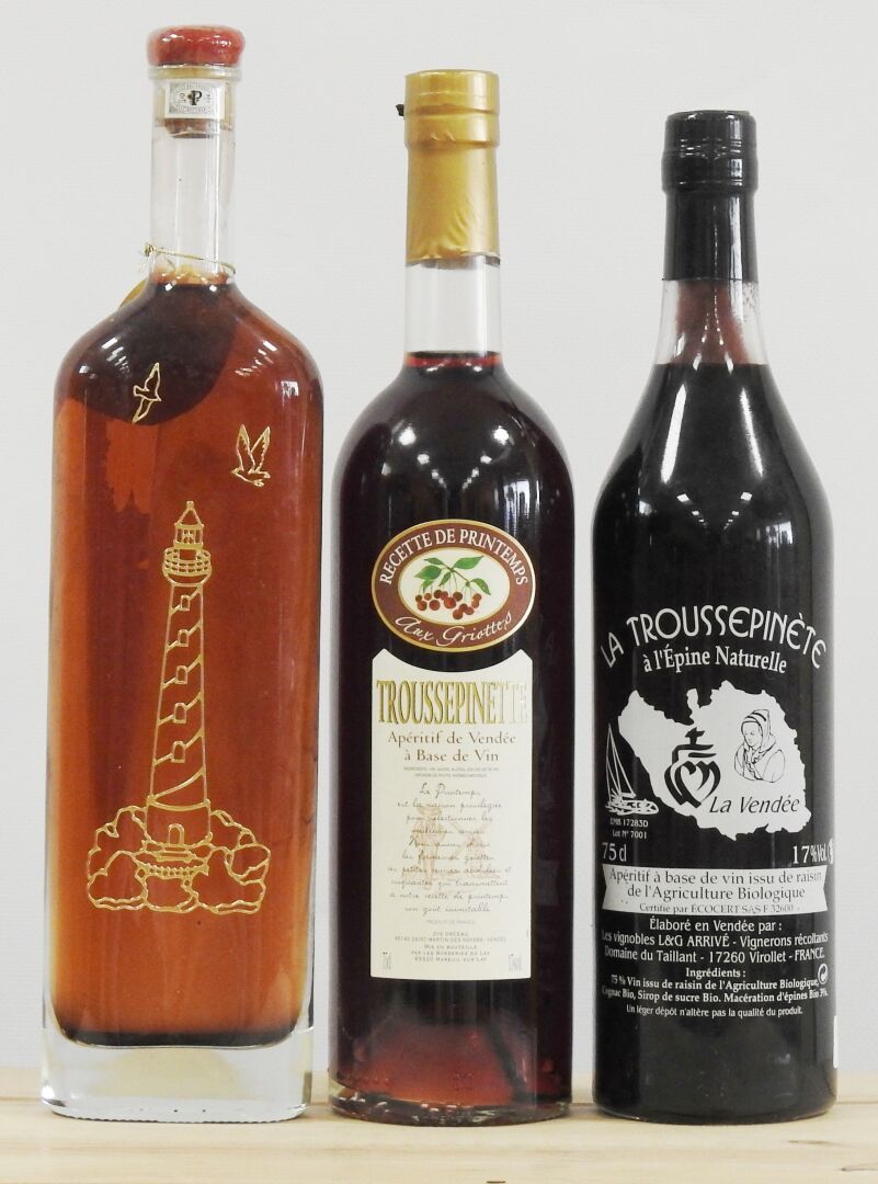 Null 3 bottles

Troussepinette with Morello cherries. Les borderies du Lay. 17°.&hellip;
