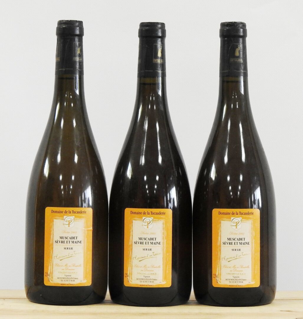 Null 3 botellas

Domaine de la Tucauderie - Muscadet Sèvre et Maine - 2003

Llev&hellip;