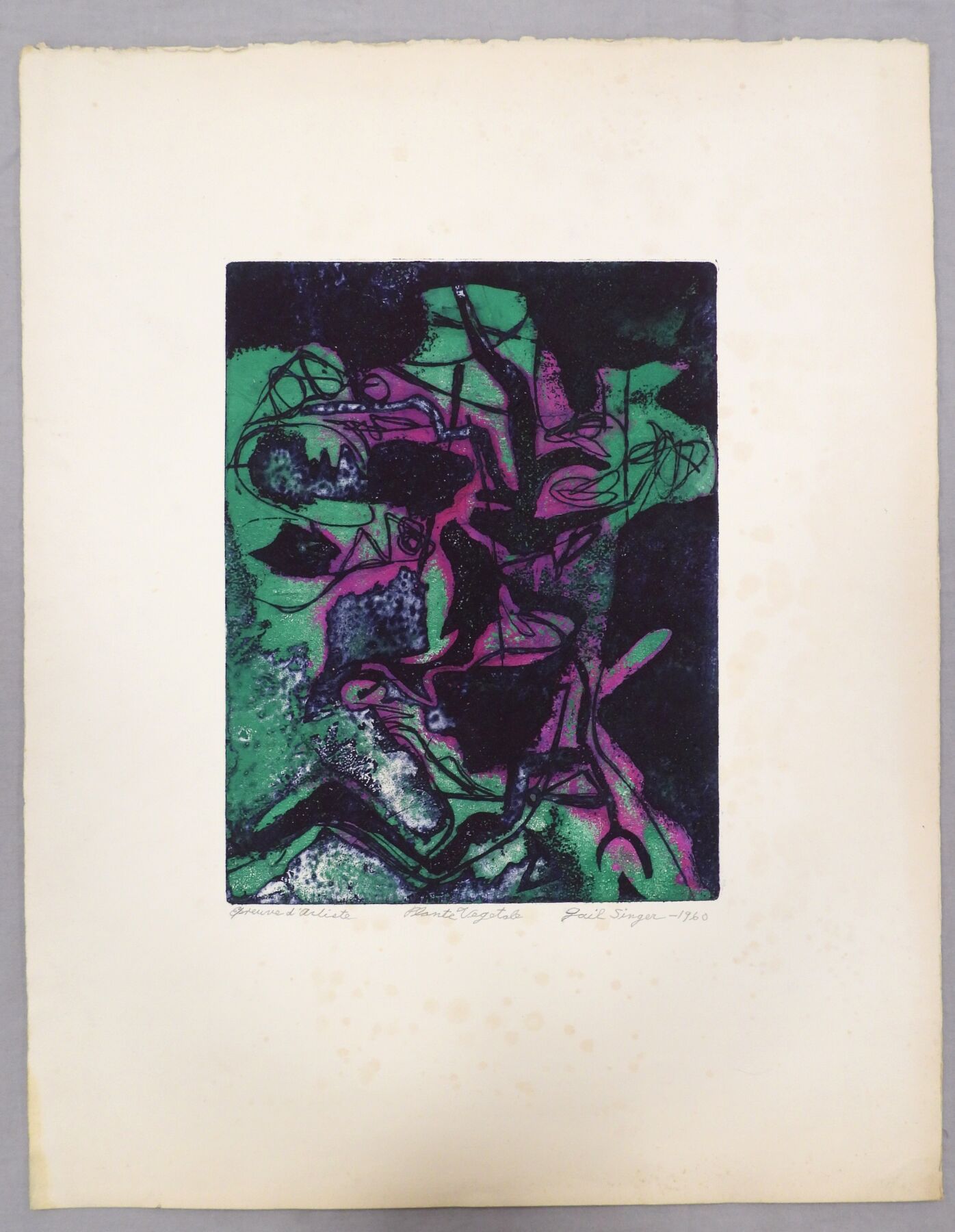 Null Gail SINGER (1924-1983) : Plante végétale. Gravure en couleurs. Signé, daté&hellip;