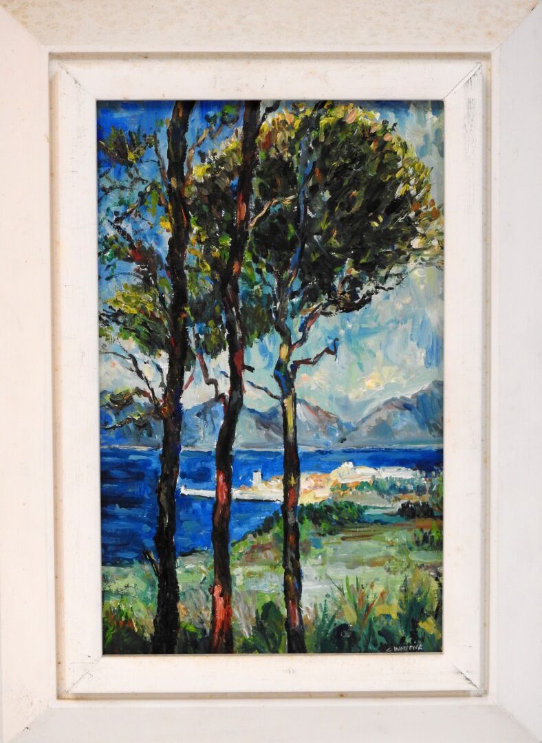 Null 克劳德-沃特希尔 (生于1929年)

地中海景观。

纸板上的油彩

右下方有签名。

28 x 18 cm。

磨损和撕裂。