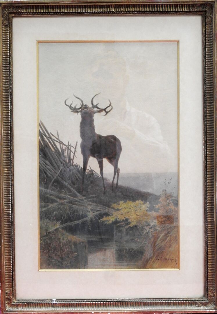 Null 奥克塔夫-萨尼埃 (1842-1887)

雄鹿的吼叫声。

水彩画。

右下方有签名。

48 x 29厘米的视线。

磨损和撕裂。