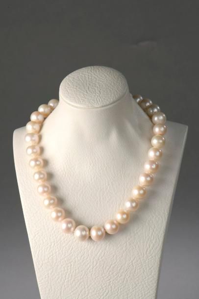 Null COLLIER composé d'un rang d'importantes perles de culture blanche. Fermoir &hellip;