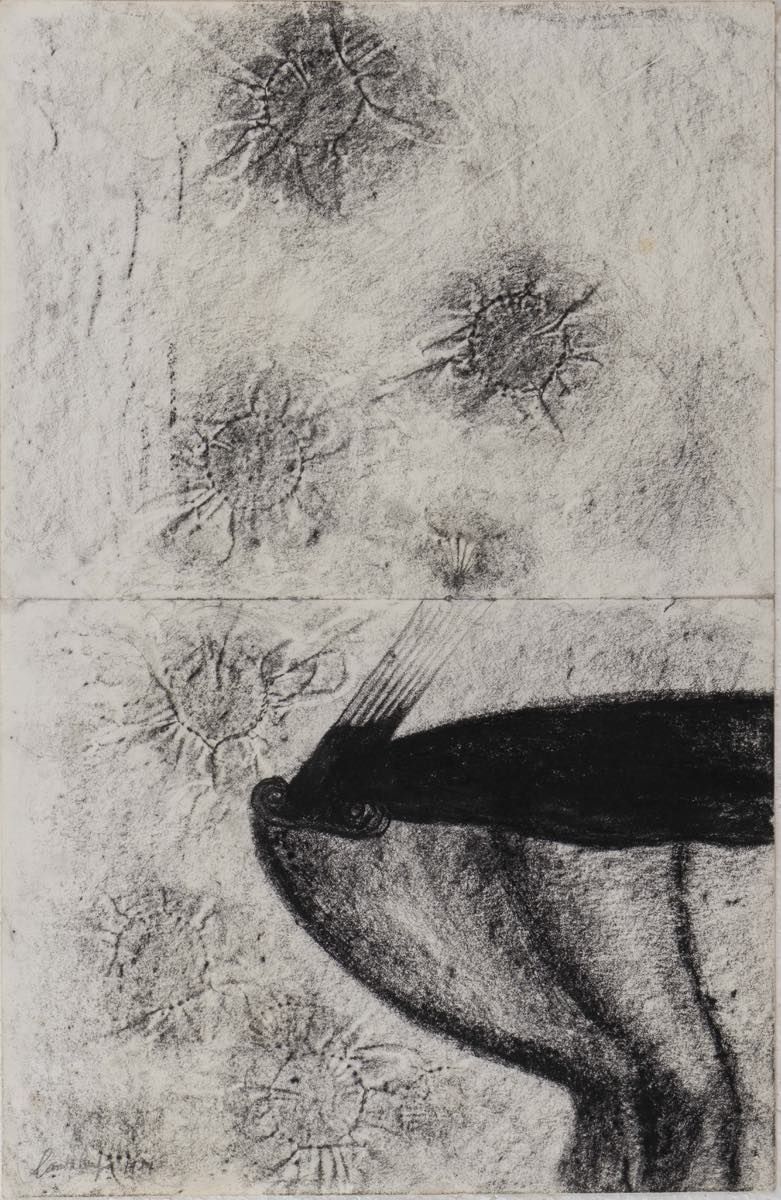 Patrizia Cantalupo (Fivizzano 1952), “Senza titolo”, 1981. 纸上炭笔，左下方有签名和日期 "Canta&hellip;