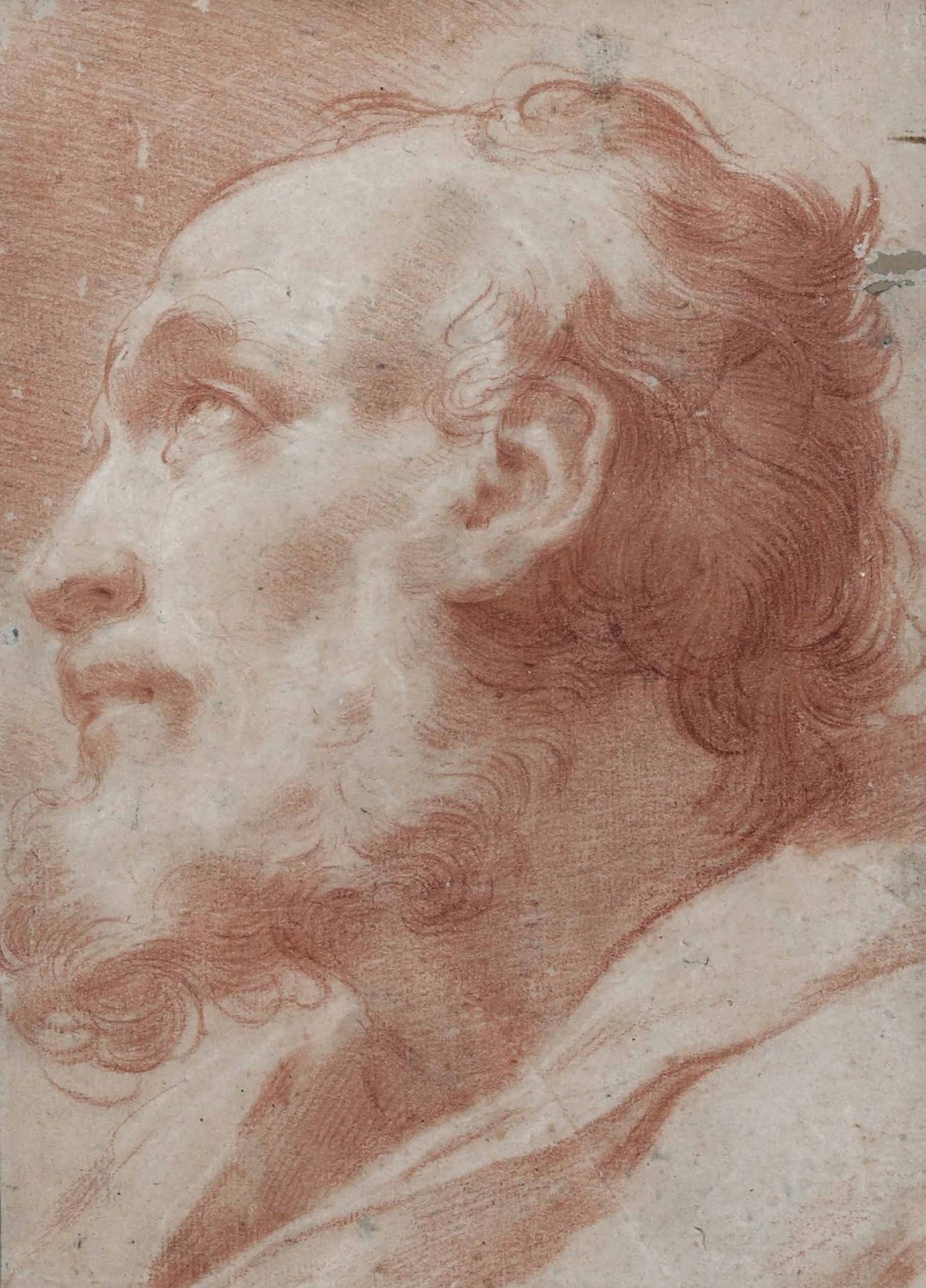 Gaetano Gandolfi (Bologna 1734-1802), Testa di Apostolo red pencil on paper, mm &hellip;