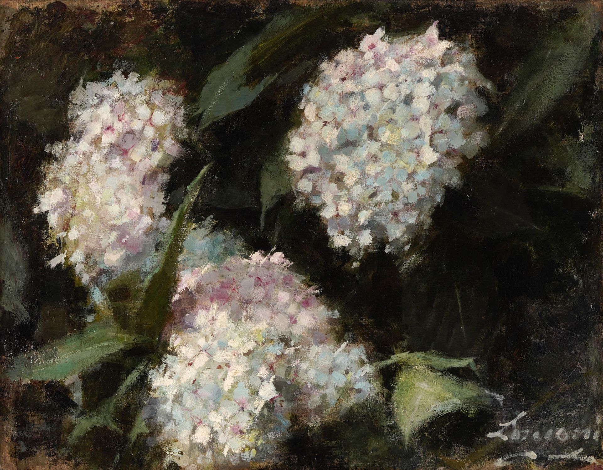 Emilio Longoni 1859-1932 绣球花（约 1885 年） 右下方有签名 宽 56 - 高 43.5 厘米 布面油画
