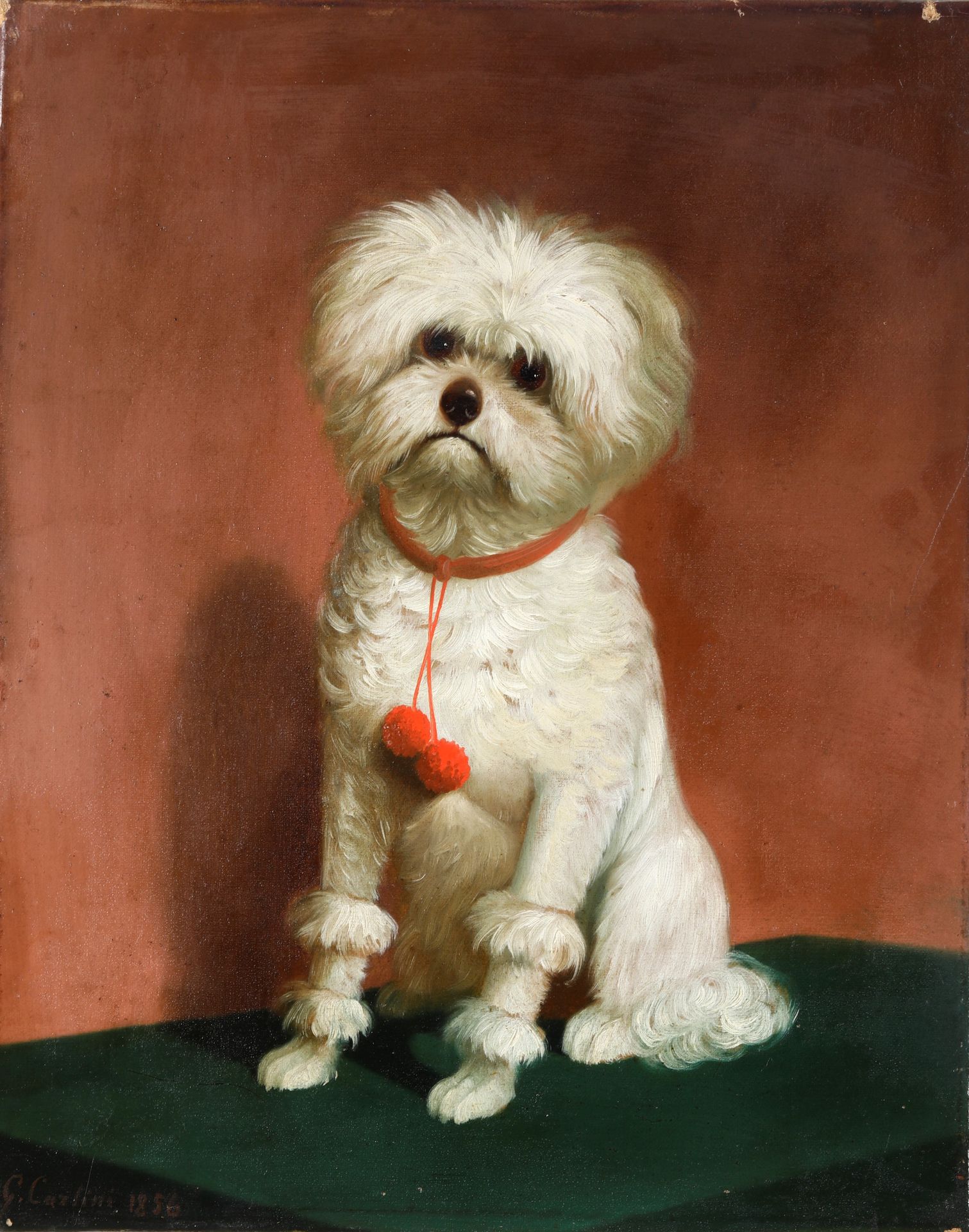 Giulio Carlini 1830-1887 Portrait d'un chien, 1856 signé et daté en bas à gauche&hellip;