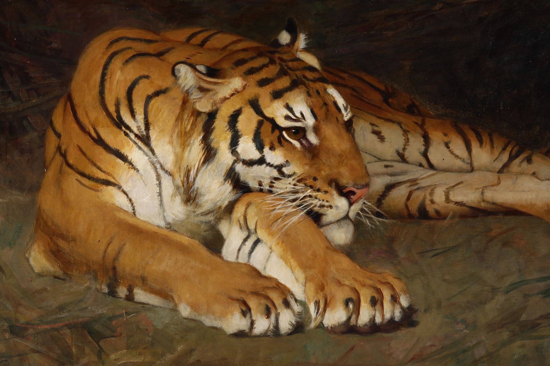 Gustave Surand 1860-1937 休息中的老虎》，1929 年，右下方有签名、年代和献词 宽 61 - 高 46 厘米 布面油画