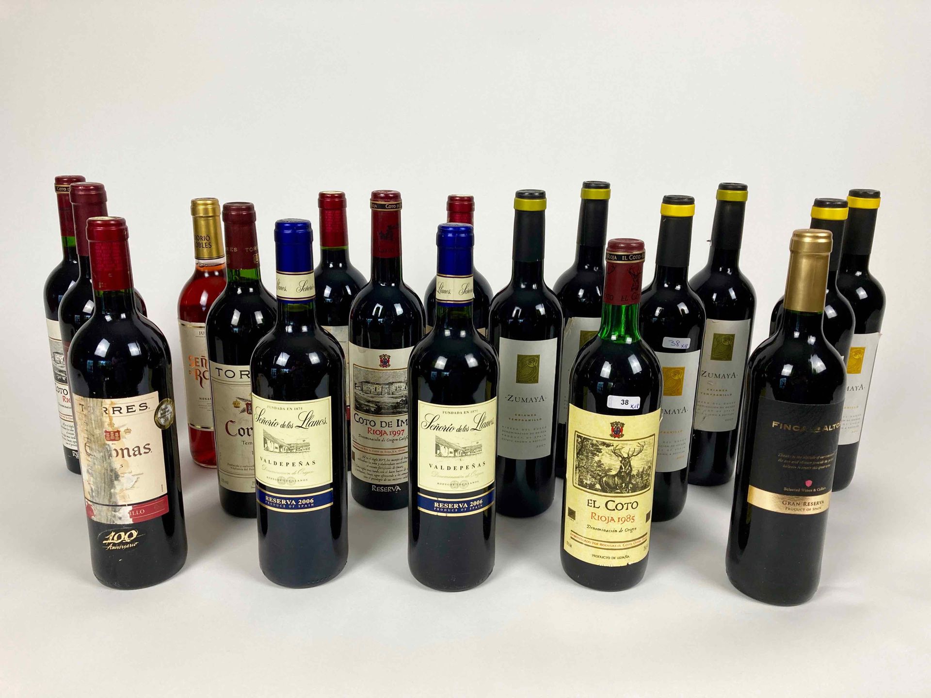 Espagne Lot of eighteen bottles:

- El Coto - Rioja 1985 (red), one bottle [high&hellip;