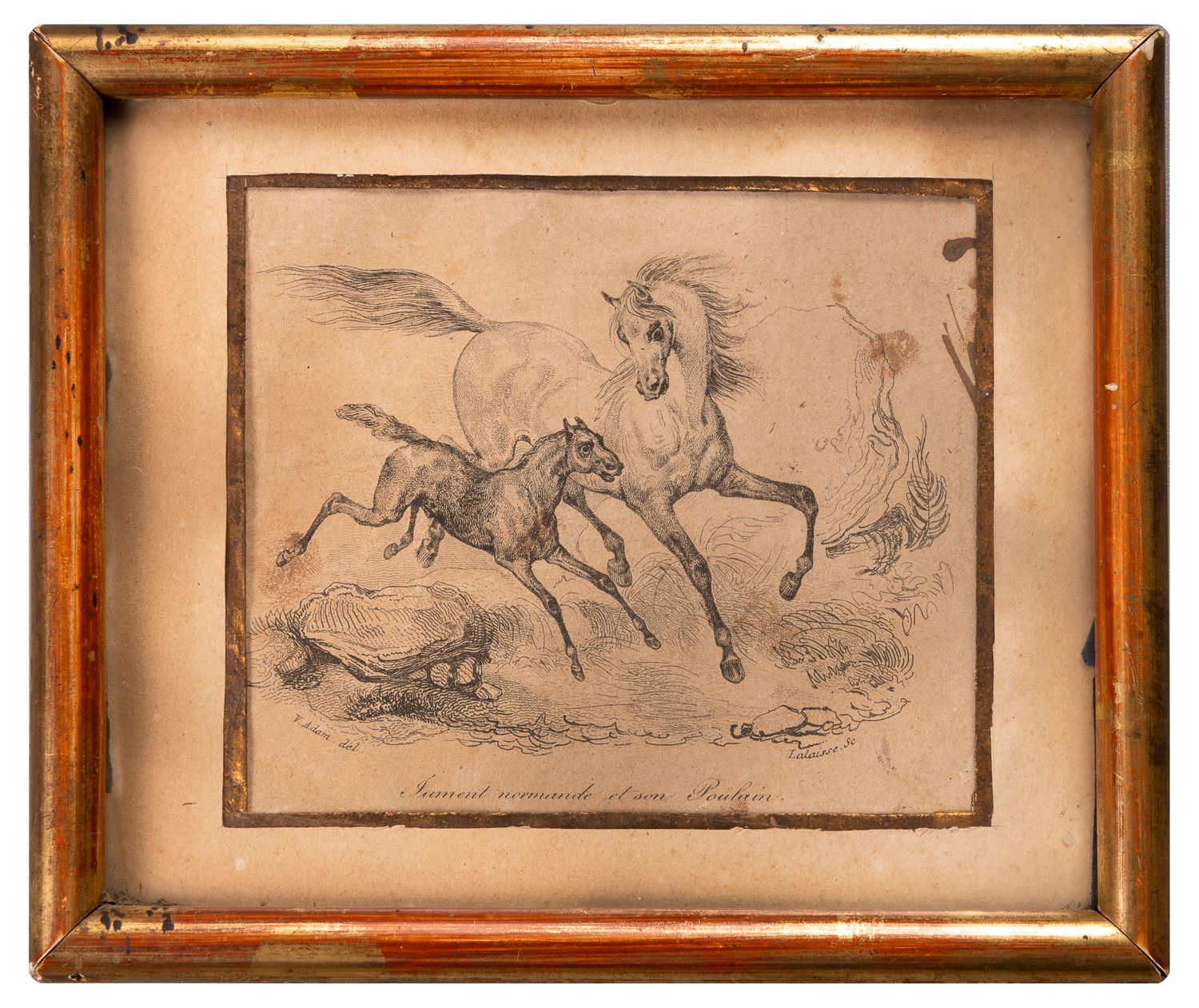 Null 诺曼母马和她的小马驹

在V.A.之后的黑色小雕版画。亚当和拉莱塞

9,2 x 10,7 cm 正在观看

斑点