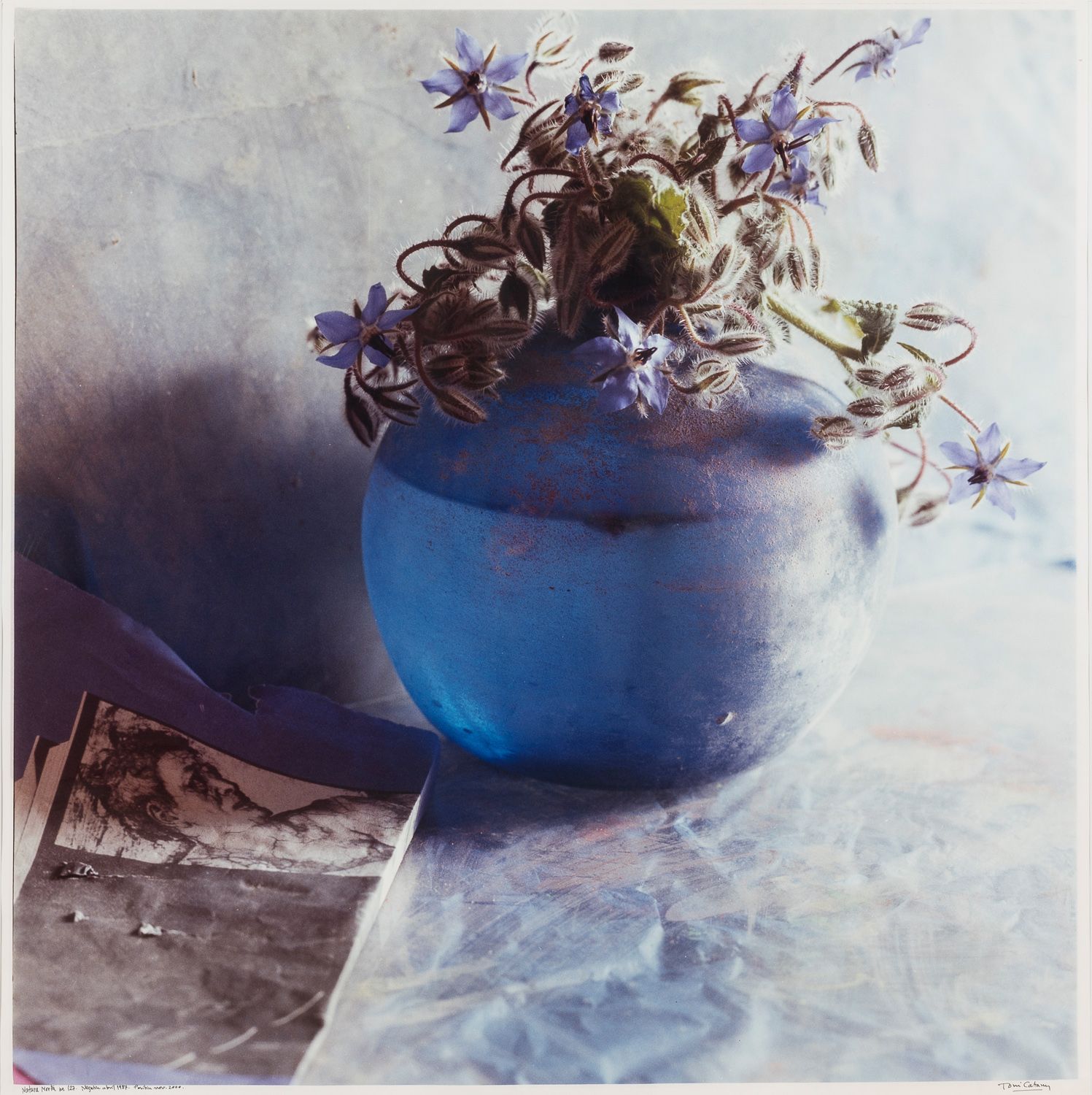 Null Toni CATANY (1942-2014)

Still life.

Color photograph, signed lower right,&hellip;