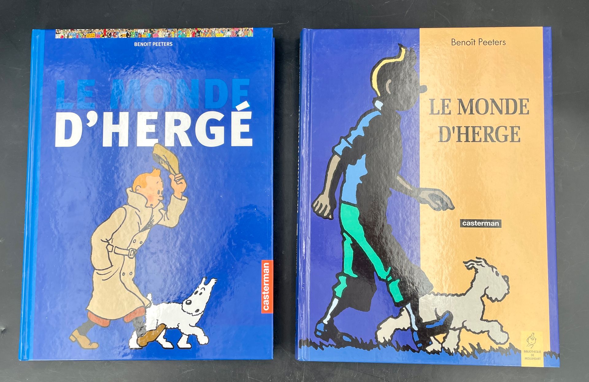 Null HERGÉ - TINTIN: DOCUMENTACIÓN: BENOIT PETEERS Le monde d'Hergé, Casterman, &hellip;