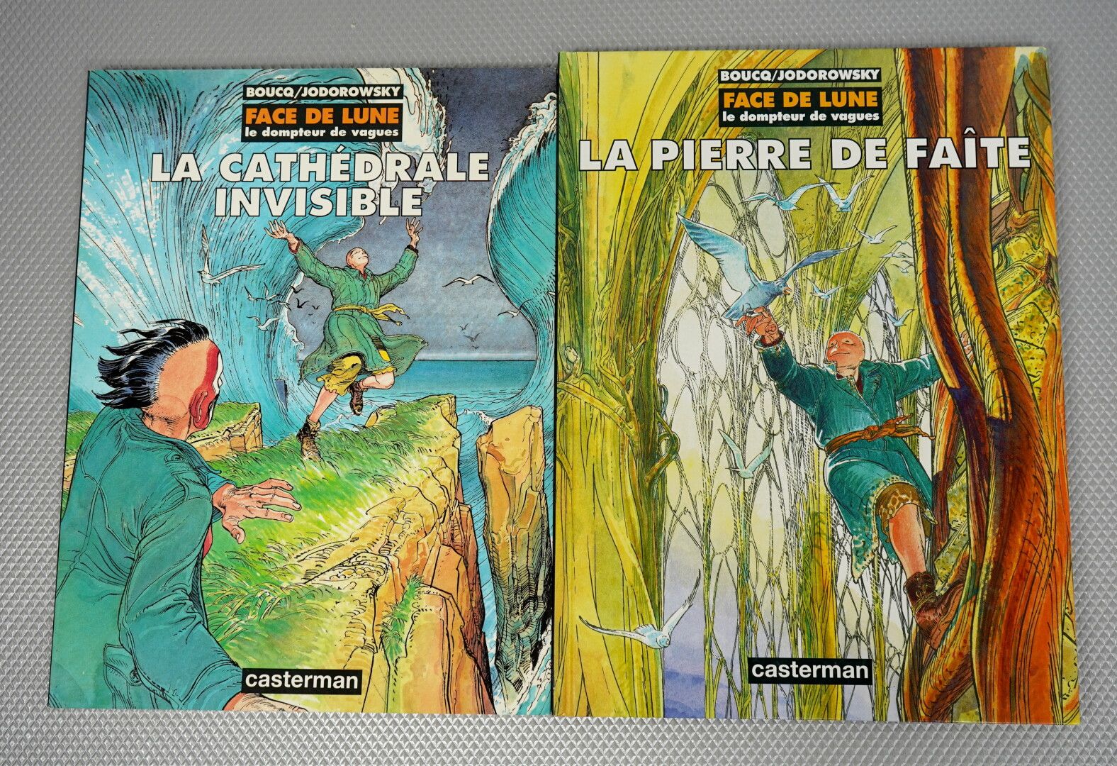 Null Avventure di Jérôme Moucherot (BOUCQ) volumi da 1 a 4



Face de Lune (Bouc&hellip;