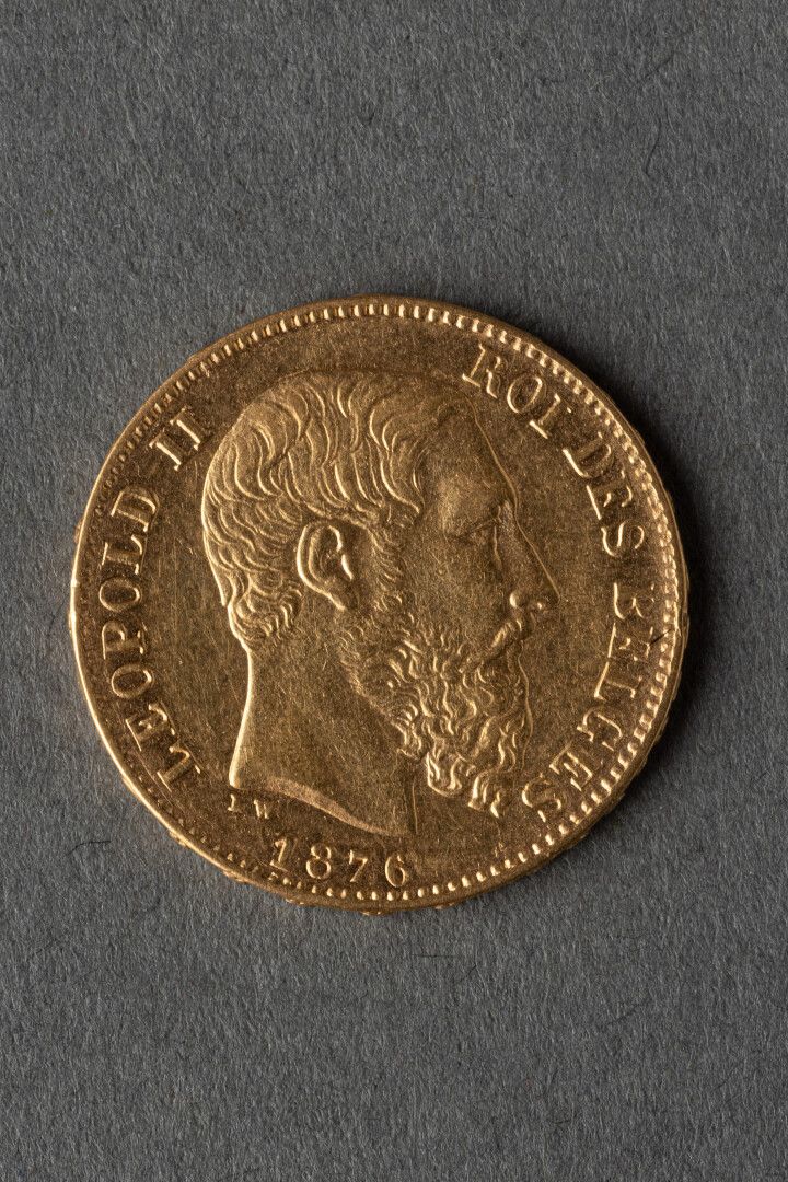 Null Pièce de 20 francs or Léopold II

Poids : 6 grammes