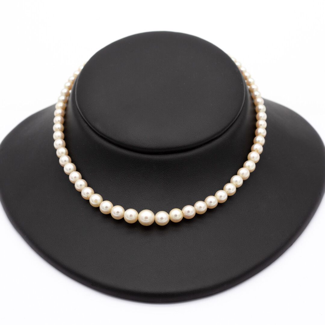 Null Collier un rang de perles de culture disposées en chute, fermoir en or jaun&hellip;