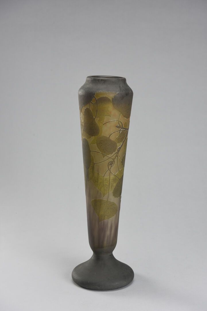 Null DAUM NANCY

Vase de forme balustre à en verre doublé à décor dégagé à l'aci&hellip;