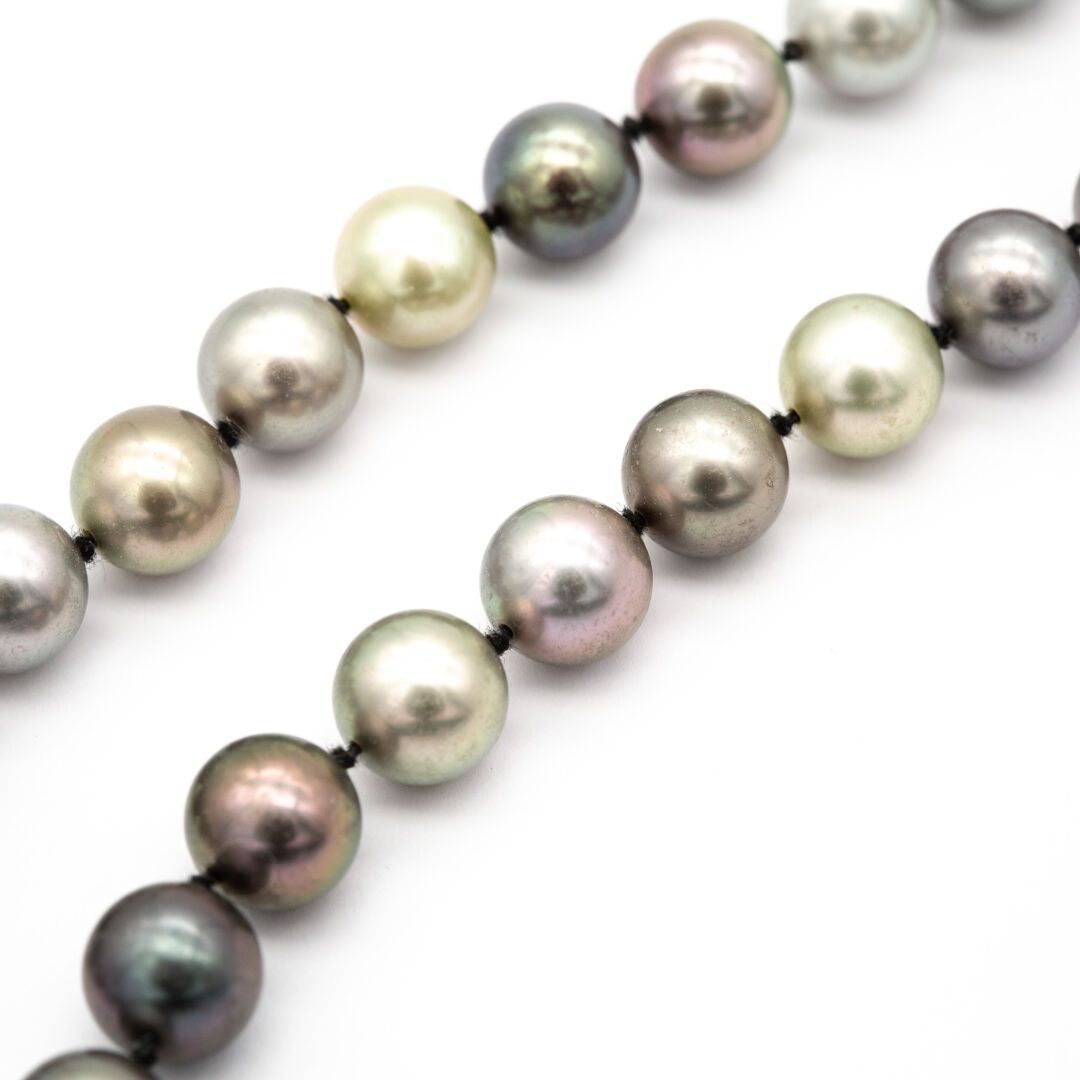 Null Einreihige Halskette aus grauen Perlen, die zu einem Fall angeordnet sind (&hellip;