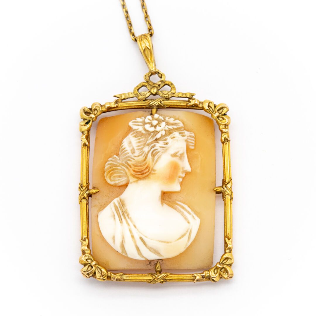 Null Yellow gold chain (750) 18K mesh forçat holding a cameo pendant shell recta&hellip;