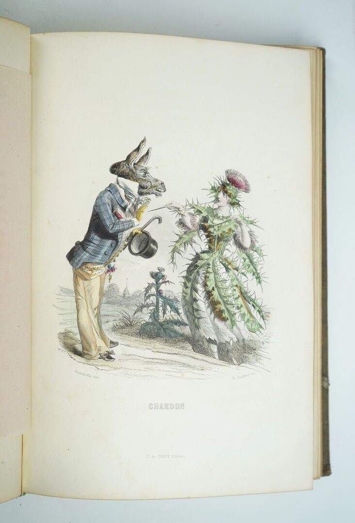 Null GRANDVILLE (Jean-Ignace-Isidore Gérard, said): Les Fleurs animées. Text by &hellip;