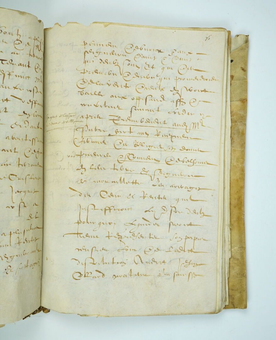 Null 重要手稿。

与皮埃尔-勒甘德的土地收购有关的皇家备忘录，位于圣-让-德-雷贝维利耶和沙特奥内夫-恩-蒂梅莱（尤尔和卢瓦尔）的社区。它的日期是1605&hellip;