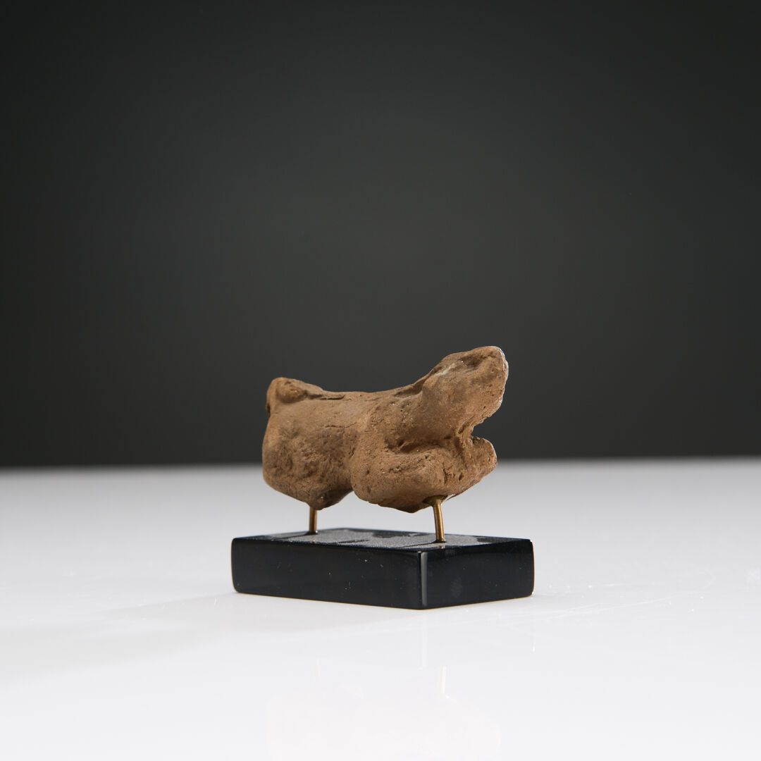 Null 躺着的狗的小雕像，抬着头，戴着马具。
红褐色赤土。后躯部分缺失，小部分缺失和磨损。
罗马时期。
长：6厘米。
出处：M. B. 收藏（里昂）。