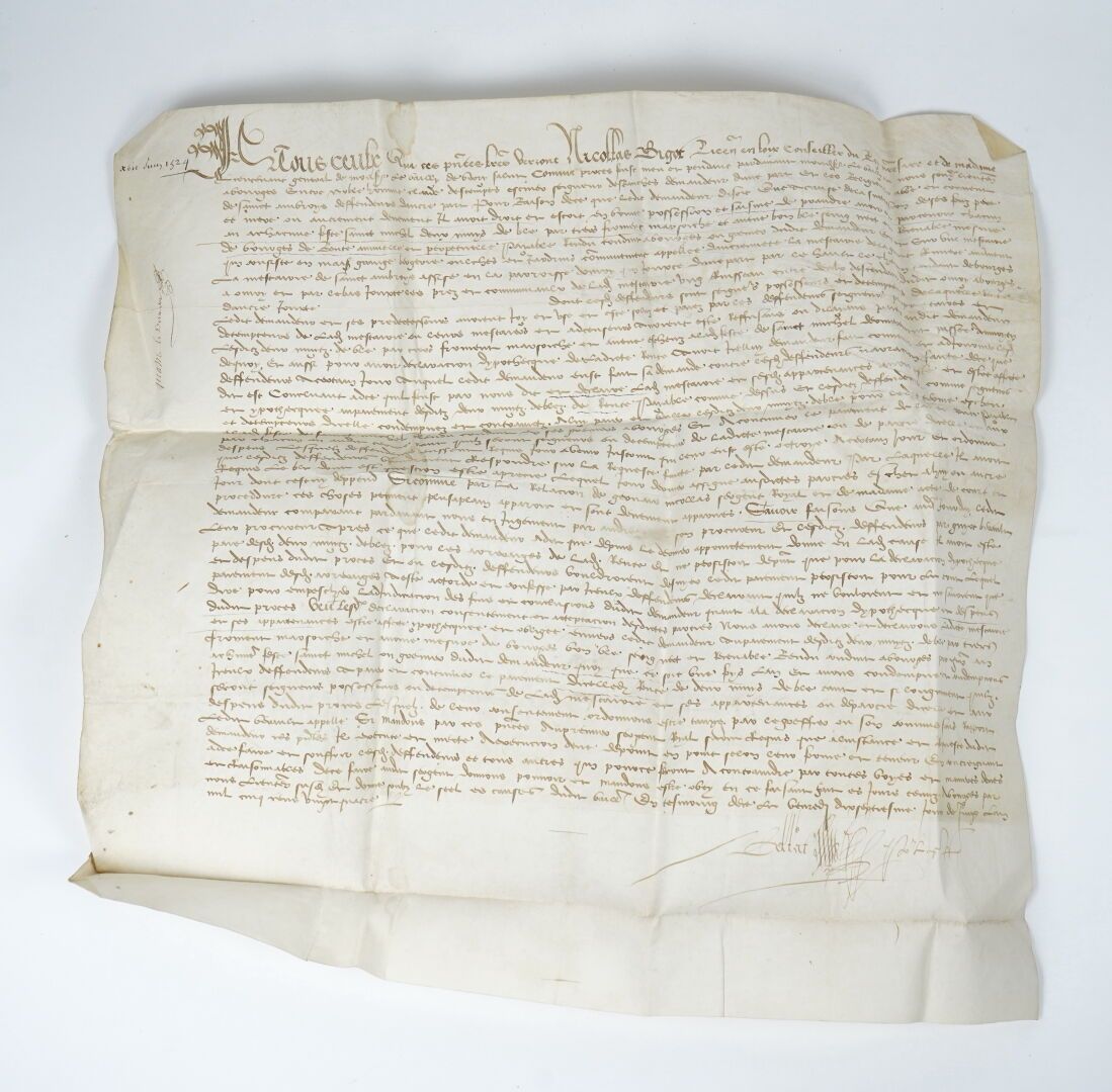 Null 日期为1524年的羊皮纸。

52×51厘米。完整，用法语书写。首字母印章今天丢失。字母。

奖励承认抵押的土地财产。圣安布罗伊斯特。这份文件保存得非&hellip;