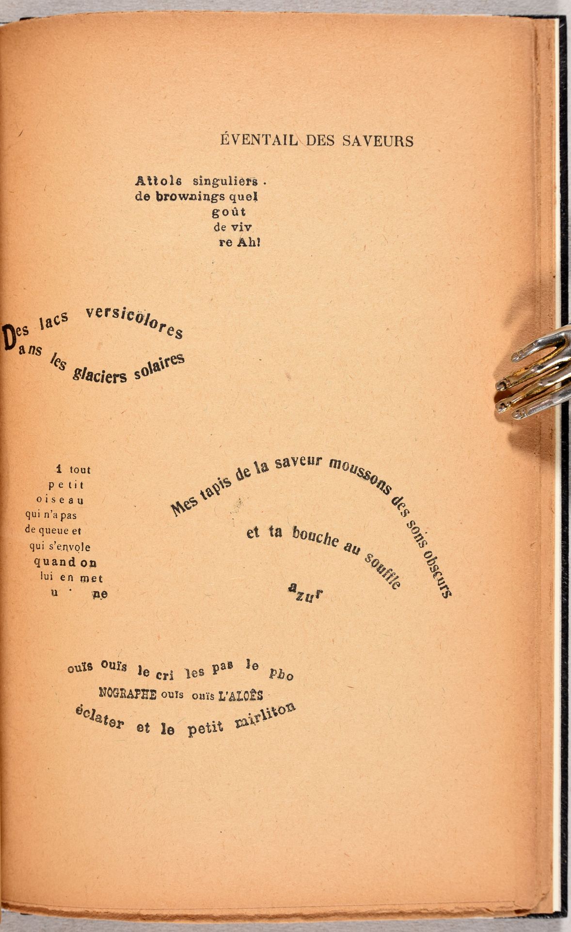Picasso, Pablo APOLLINAIRE, Guillaume Calligrammes.和平与战争的诗篇》（1913-1916）。波浪。标准。阿蒙&hellip;