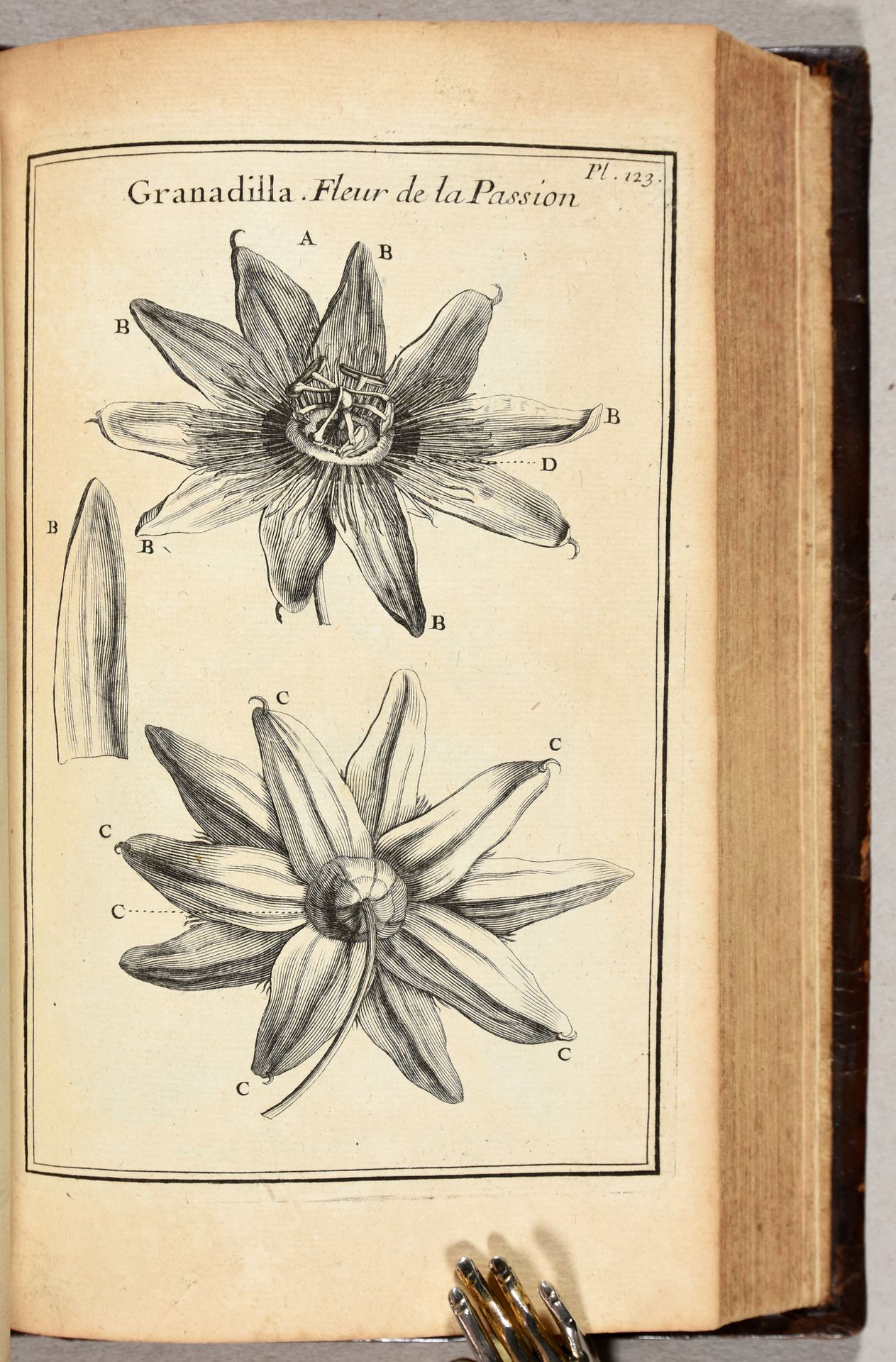 Aubriet, Claude ; Vermeulen, C. TOURNEFORT, Joseph Pitton de Élémens de botaniqu&hellip;