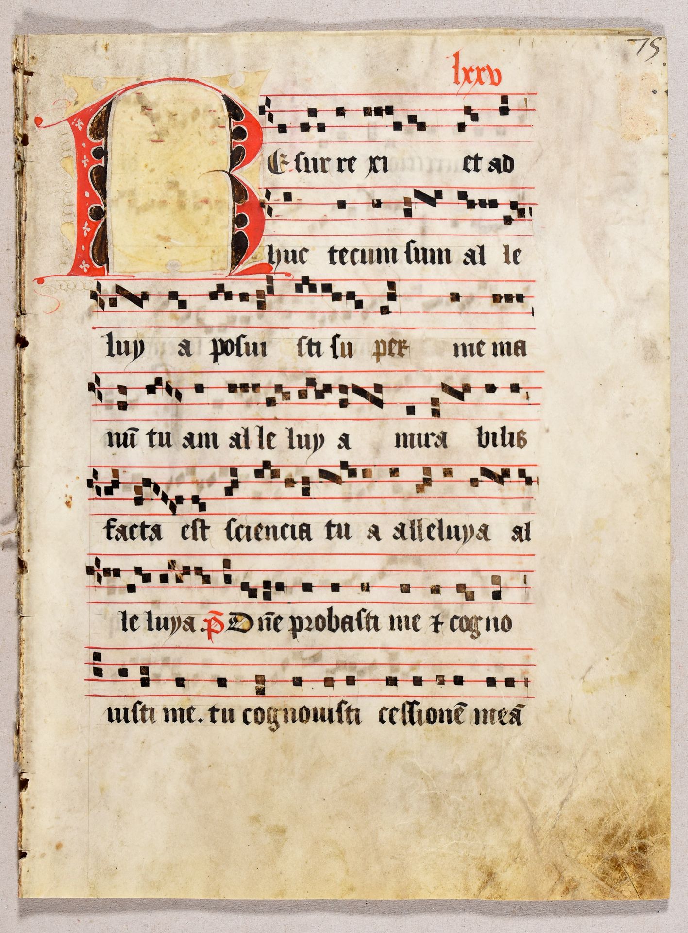 Null 五张牛皮纸叶子，来自一本antiphonary。公元15世纪的对开本（35 x 26厘米）：拉丁文，红色和黑色的哥特式手稿，书写面积：26 x 18厘&hellip;