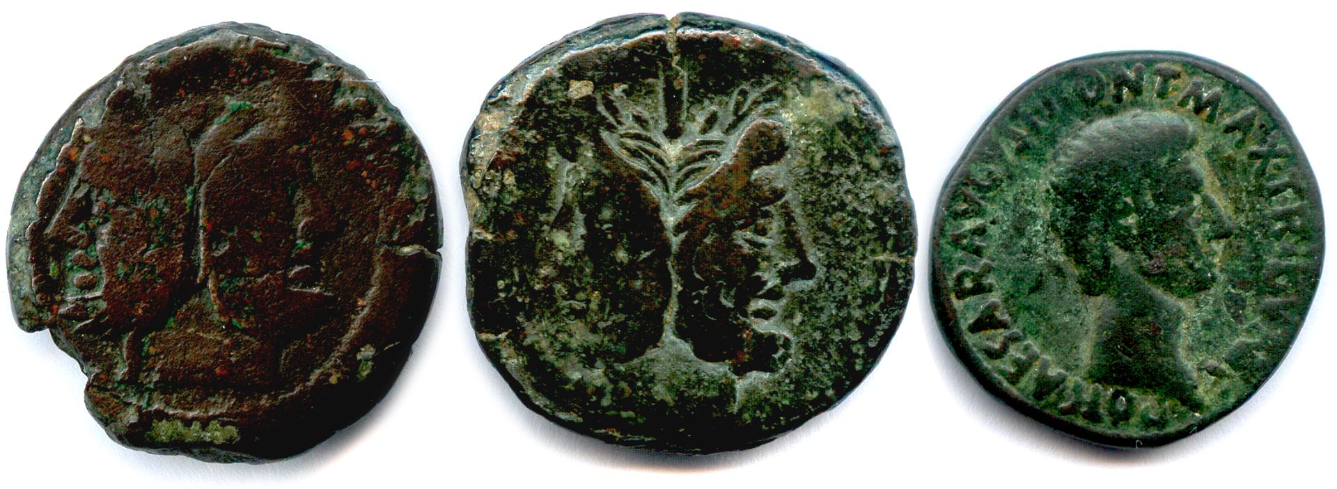 Null RÖMISCHE REPUBLIK 

Drei Bronzemünzen (As): Marcia (Bug), Pinarius Natta (B&hellip;