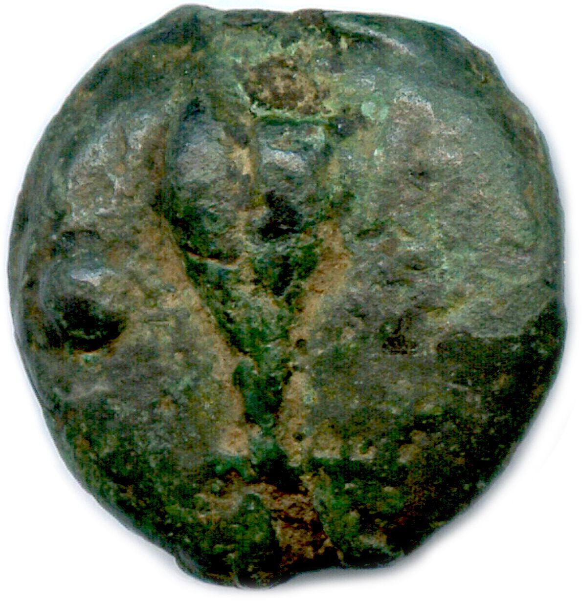 Null ROMAN REPUBLIC 280-269 BC

Grain of wheat and globule on obverse and revers&hellip;