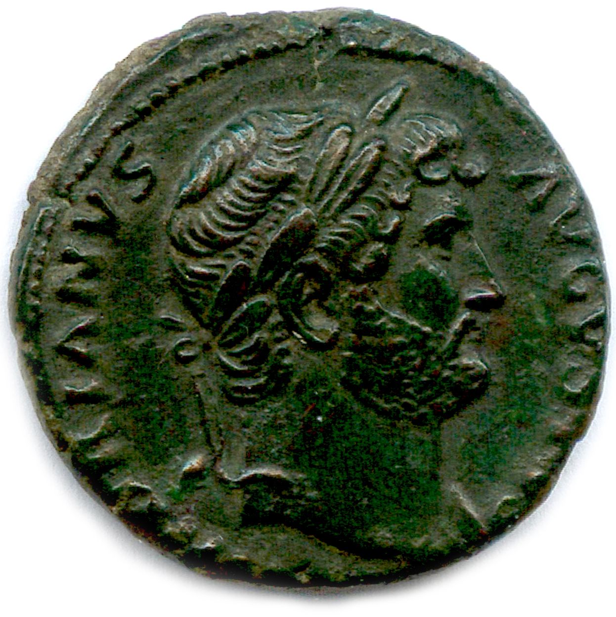 Null 哈德良 117年8月11日-138年7月10日

hadrianvs avgvstvs.他的头顶月桂花向右。R/. COS III.帕拉斯站在右边，身&hellip;