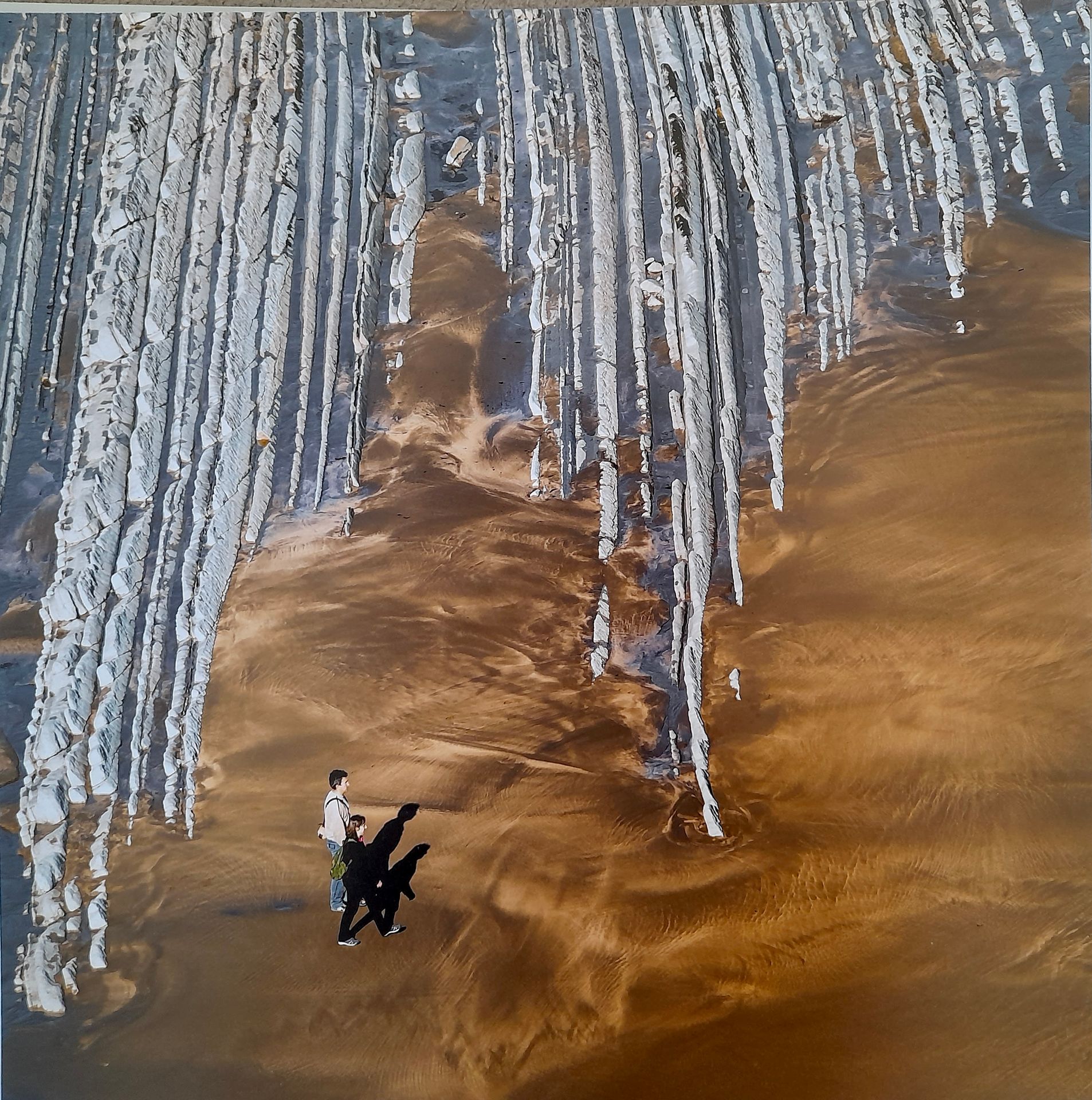 Jean Murret LABARTHE 在Flysch上散步 - 照片打印 - 日期为2019年3月21日 - 30 x 30 cm