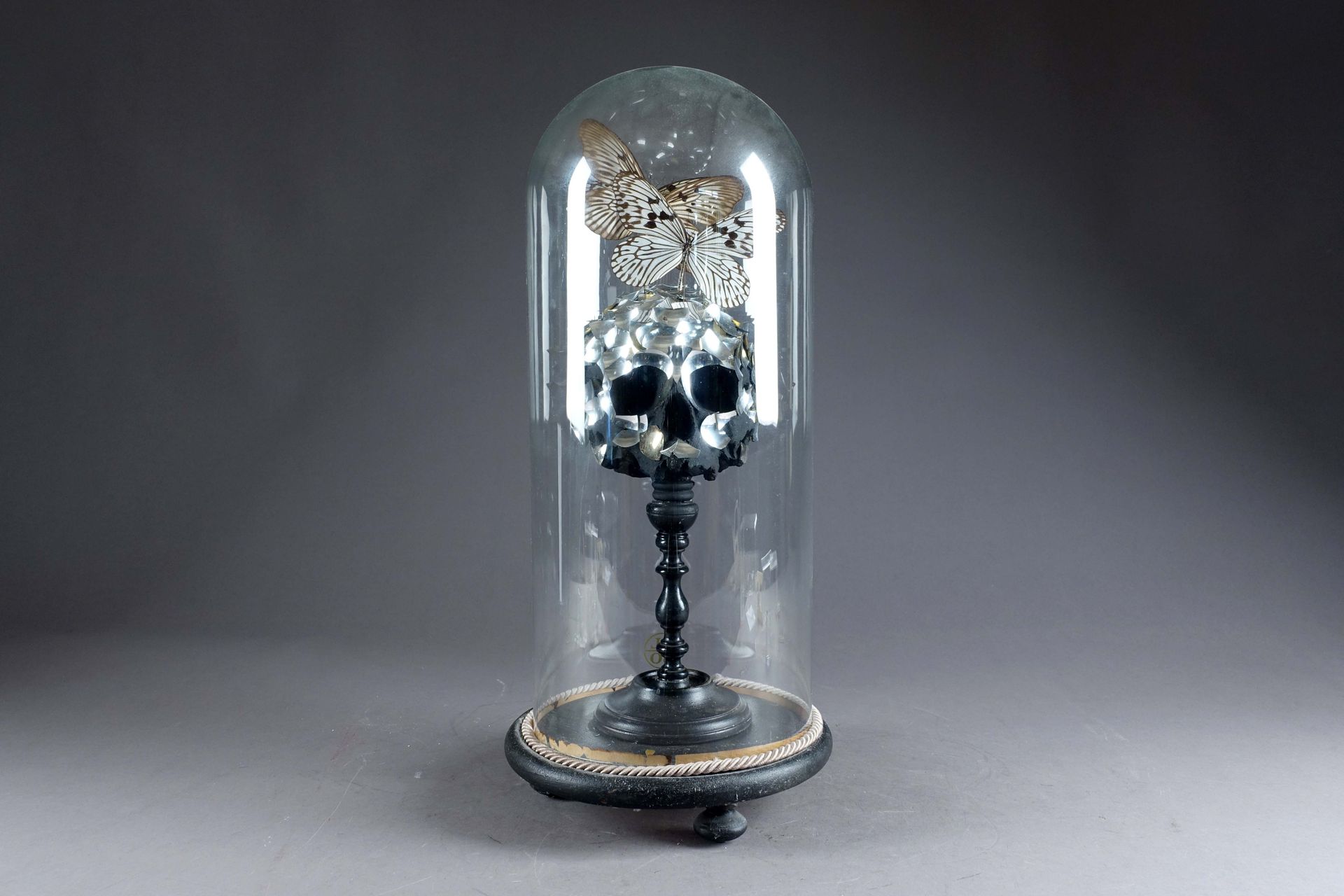 Memento Mori. 有一个覆盖着镜面玻璃的头骨，由三只蝴蝶飞过，由一根转过来的木柱承载。在一个玻璃球下。高度：53厘米。