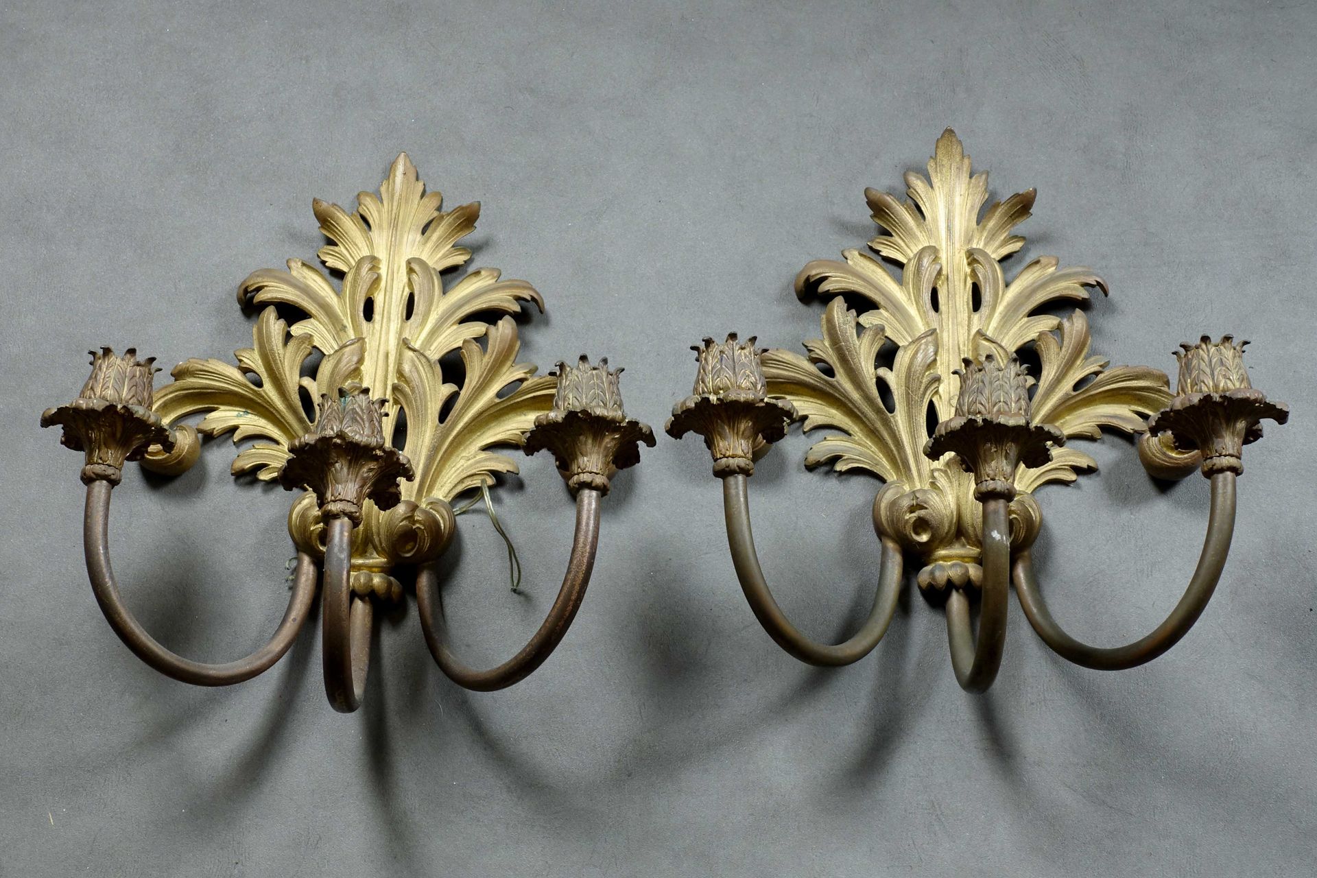 Paire d’Appliques. 由三盏灯照亮，由一个大的刺桐叶掌状物托着。镀金的青铜。19/20世纪。高度：43厘米。