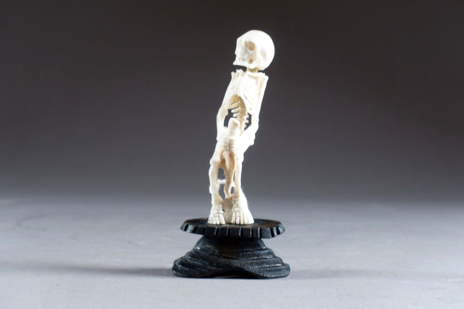 Vanité. 描绘了一个蹲着的人类骨架。雕刻的骨头。在一个木质底座上。20世纪。总高度：12.5厘米。
