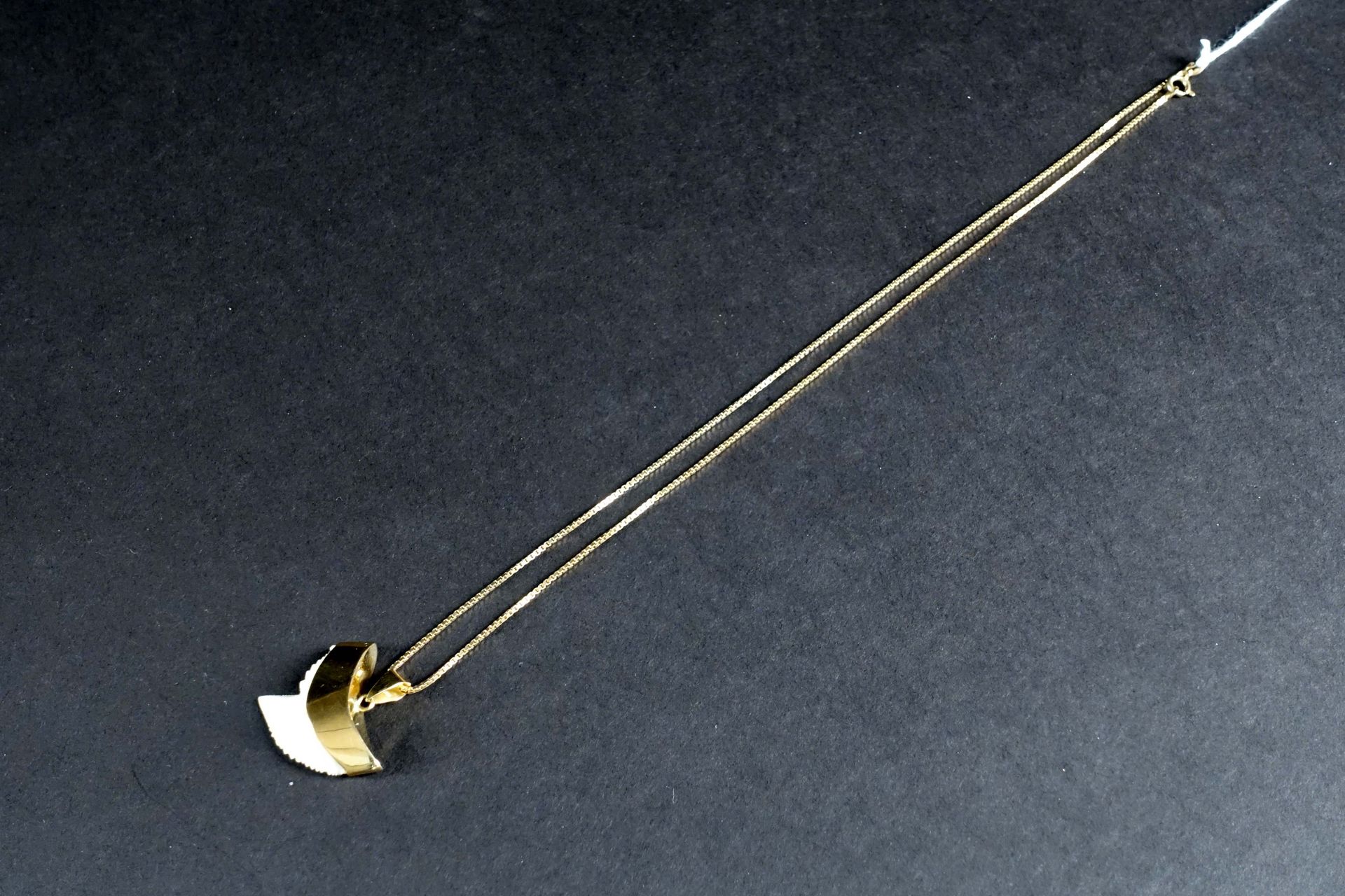 Pendentif. Set with a tiger shark tooth. Mounted in 18K yellow gold. Weight : 6,&hellip;