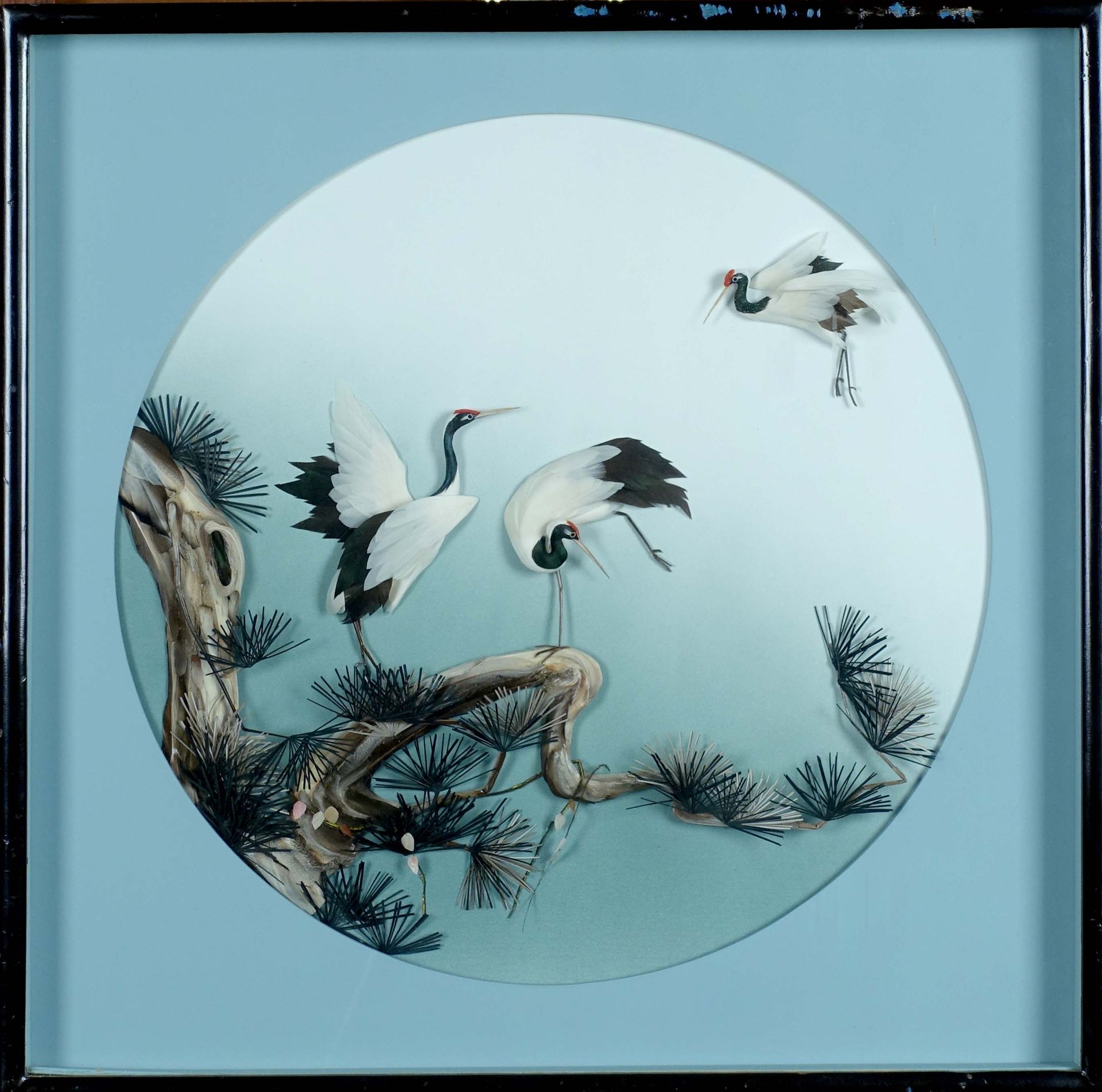 Ecole Japonaise - XXe siècle. 三只白鹳和一根松树枝。完全由纸质背景上的鸟类羽毛组成。带框：55 x 55厘米。