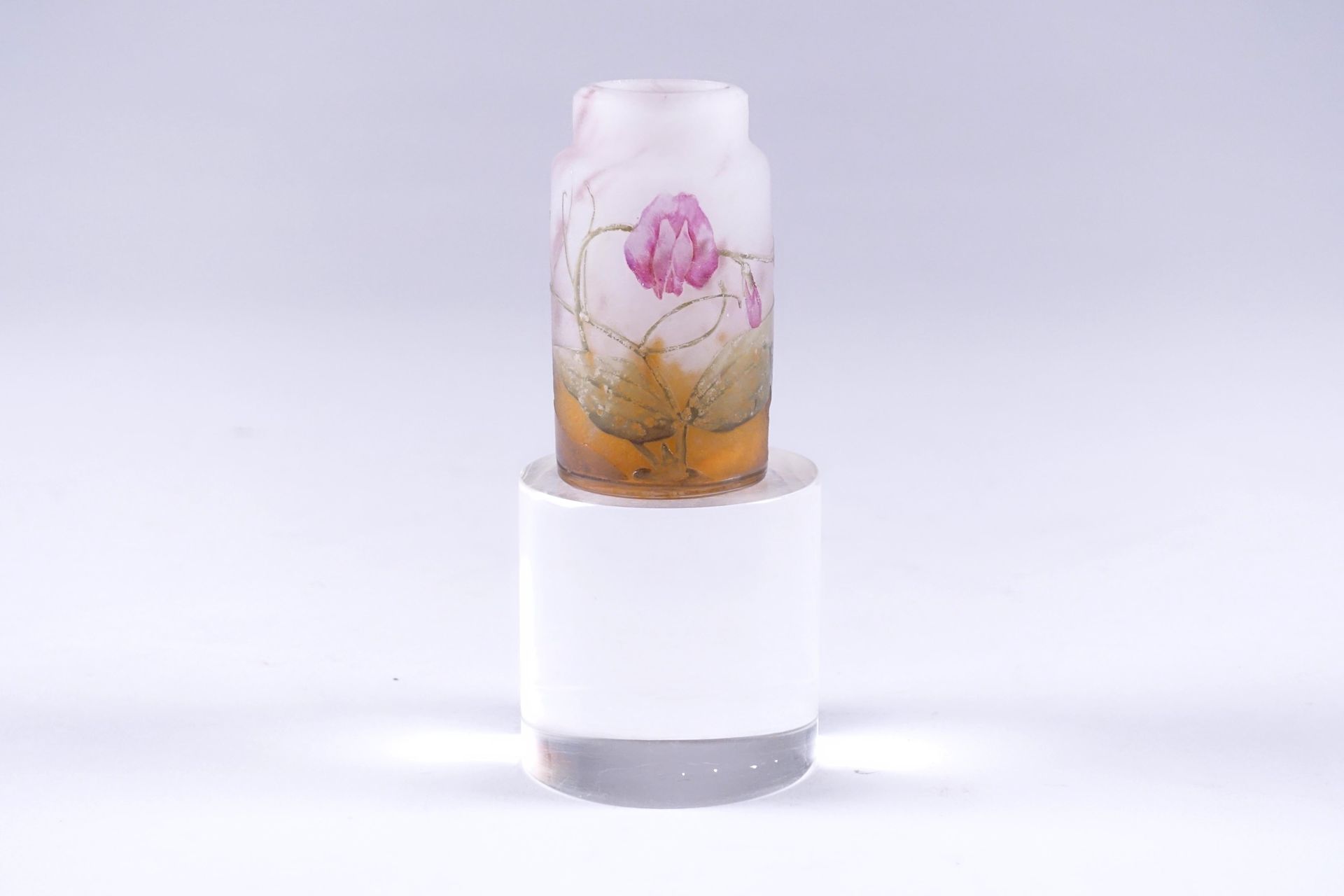 Daum à Nancy. Art Nouveau bottle in marbled glass with vegetal decoration in lig&hellip;