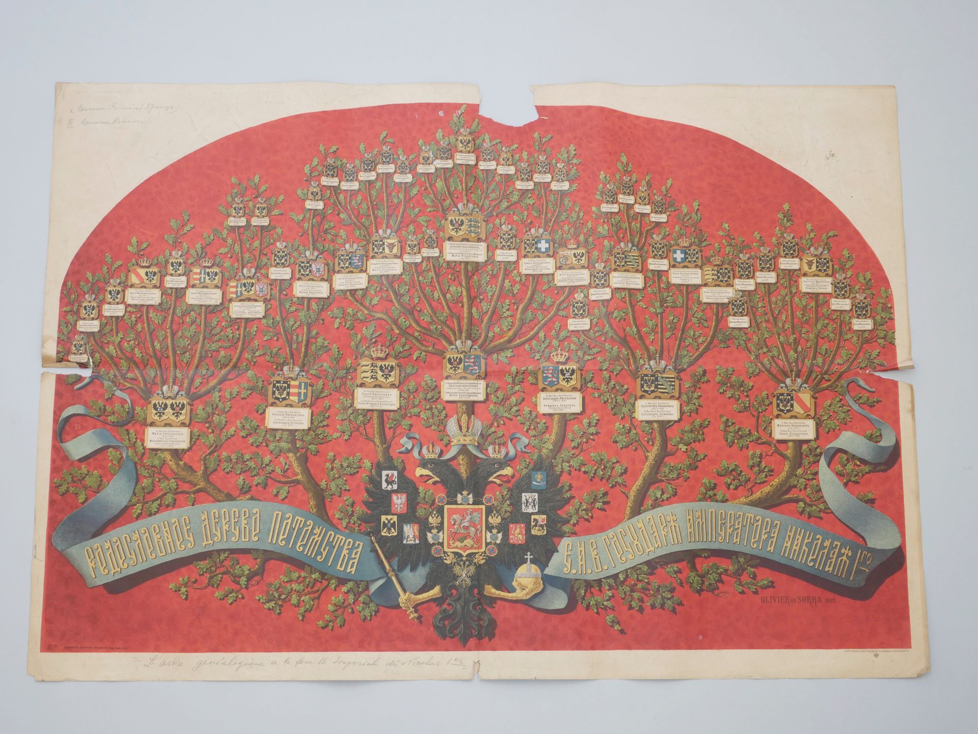 Null Genealogical tree of the imperial family of Nicholas I. 69x99cm. (Accidents&hellip;