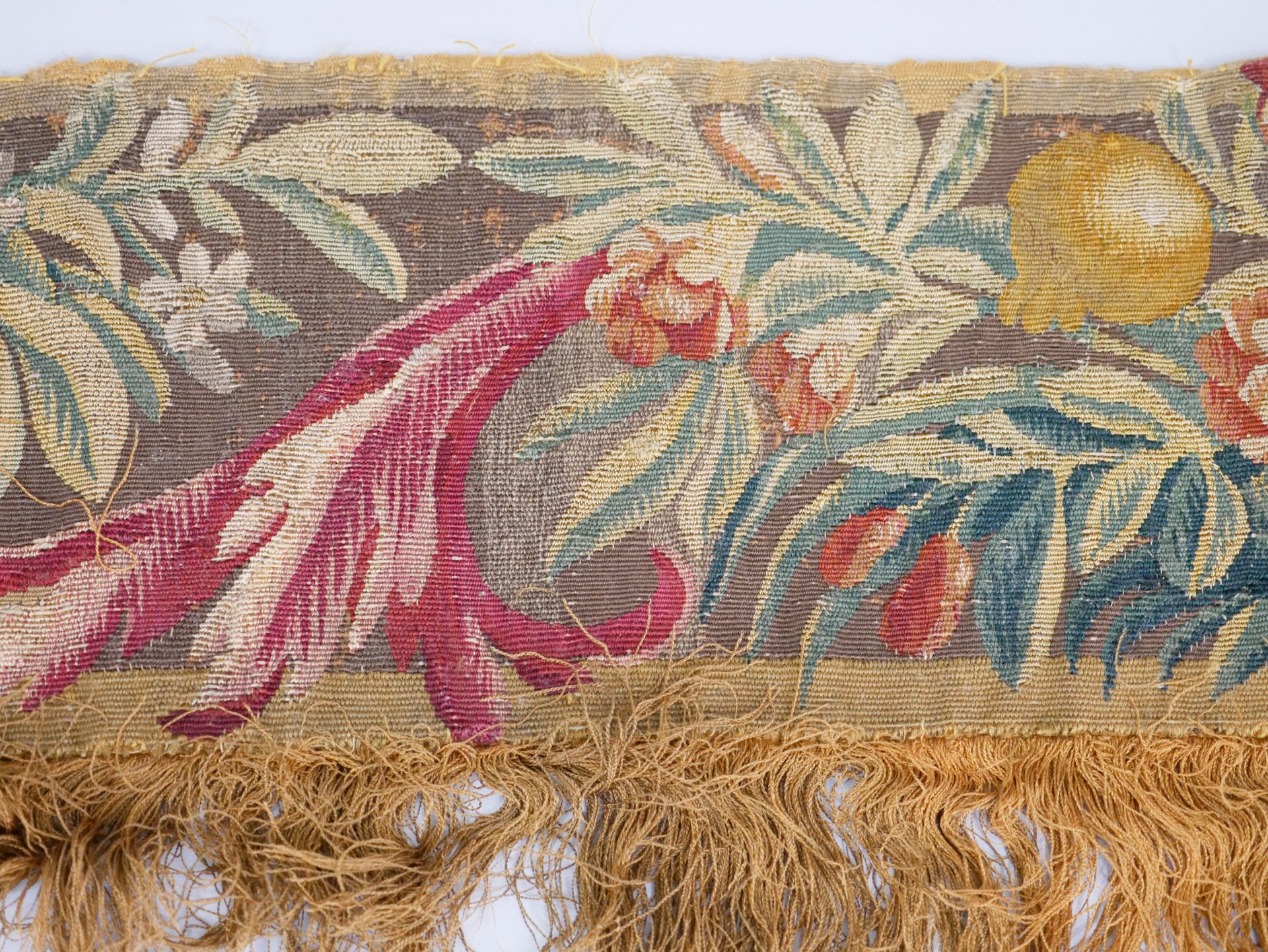 Null AUBUSSON 18世纪。挂毯残片，边框有交错和叶子的装饰。非常新鲜的颜色，尤其是红色。高19厘米，长228厘米