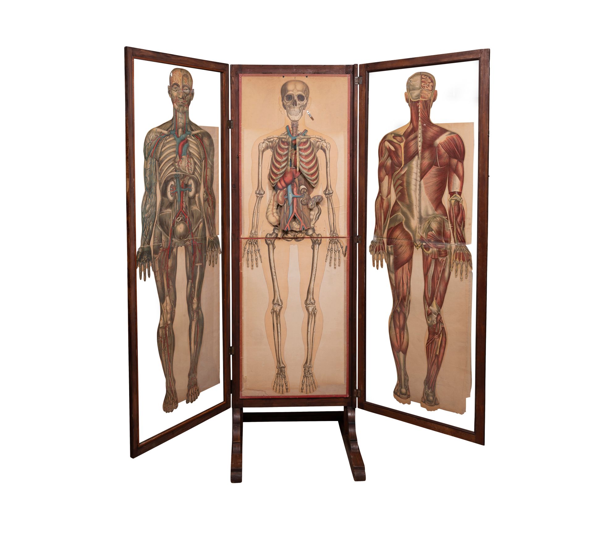 Null Rare armoire anatomique par Julien BOUGLE pour l'école de médecine. 

1899.&hellip;